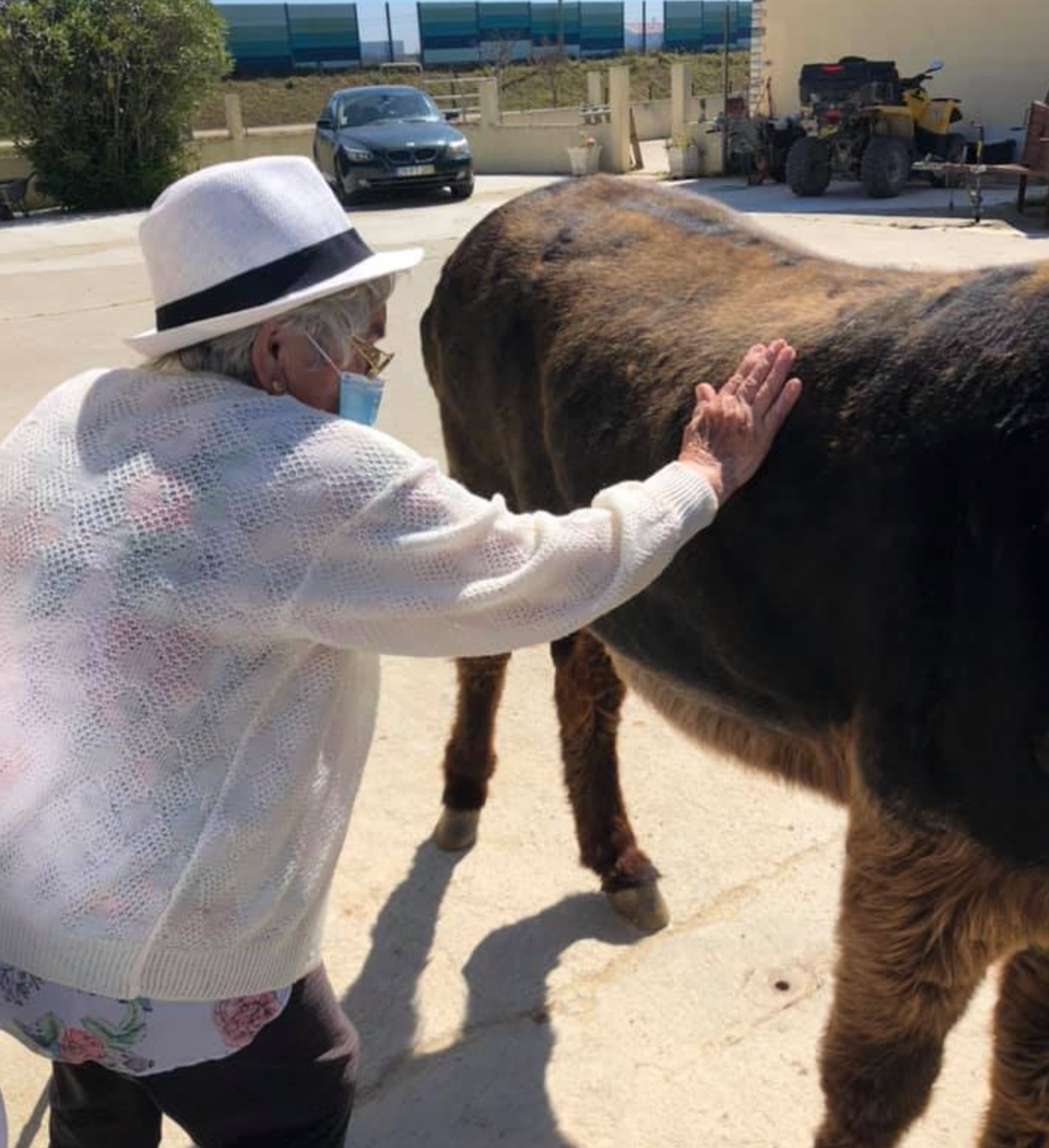 Eco Salgados Agroturismo | Opiniões. Passeios a Cavalo na Praia Peniche | Eco Salgados Agroturismo