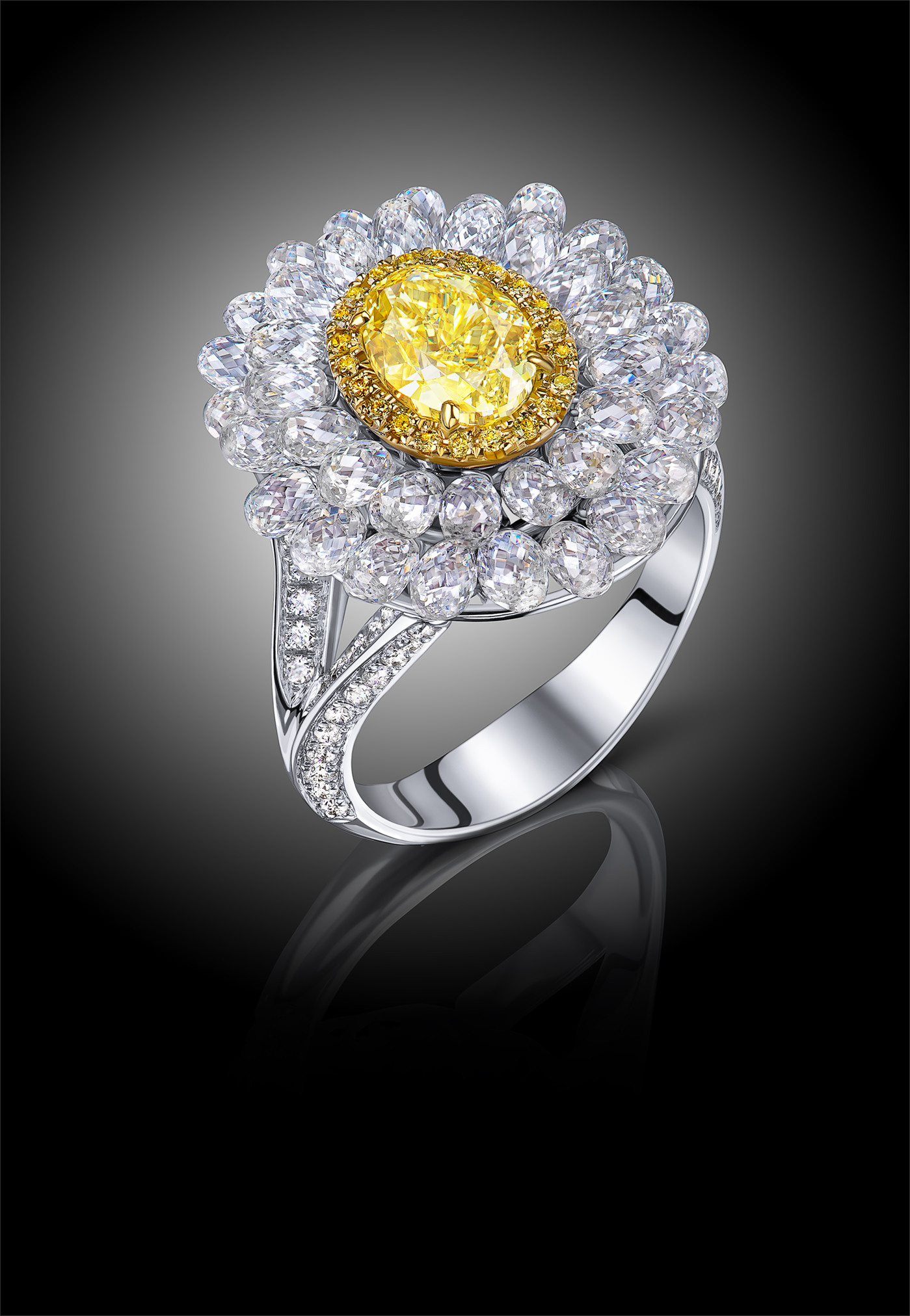 Retoucheuse des photos professionnelle. Photographe et retoucheuse des images des produits à Avignon en France