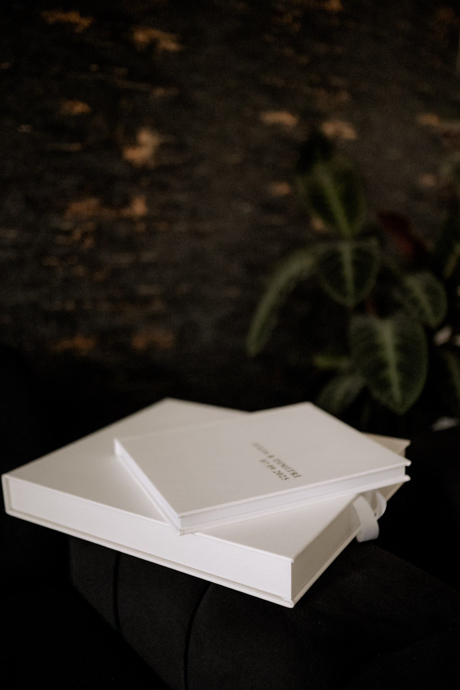 Anna Saribekyan – Beste Hochzeitsfotografin in Würzburg, Top 10 in Deutschland