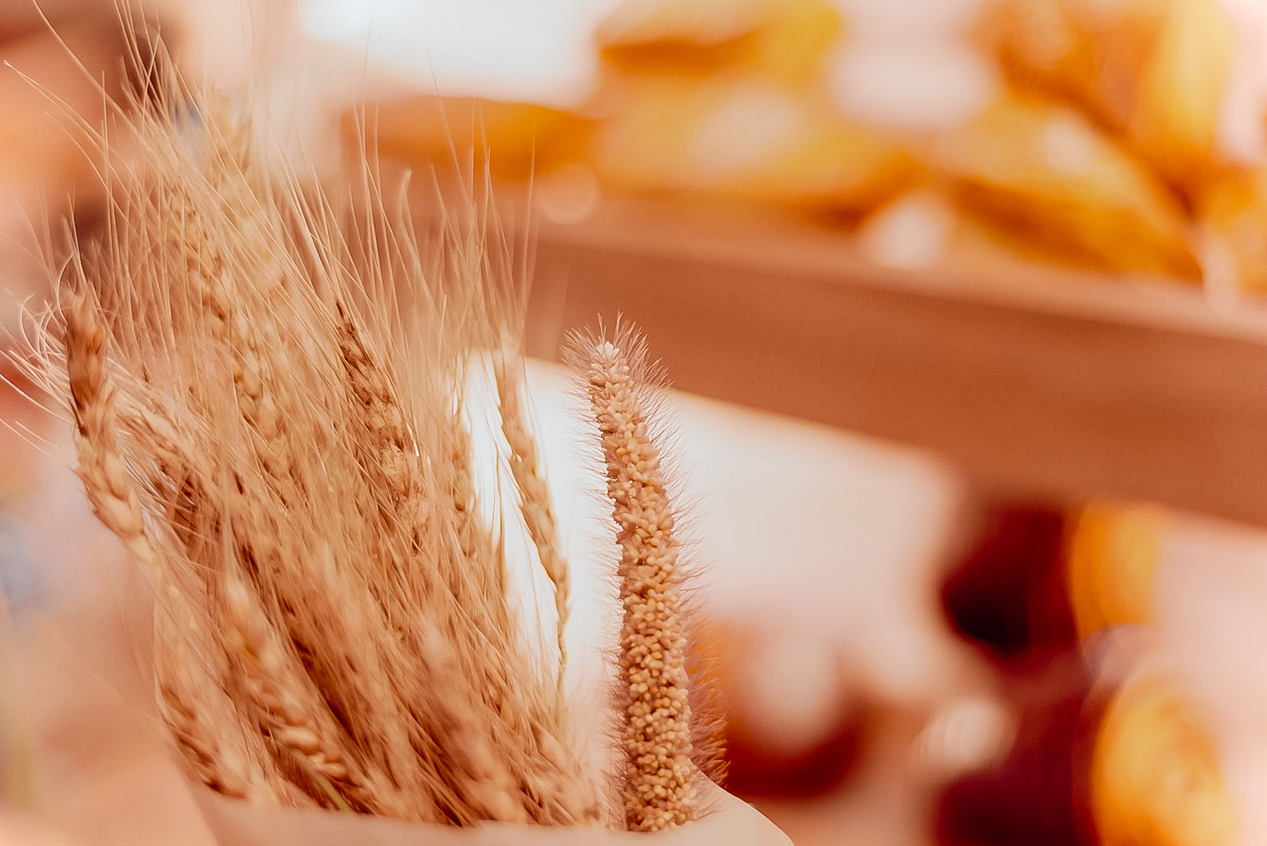 КОФЕЙНЯ. МАРИЯ ВАЛУЕВА Фотограф в Ницце, Каннах, Монако, Франции, Европе. Фотограф в Стамбуле