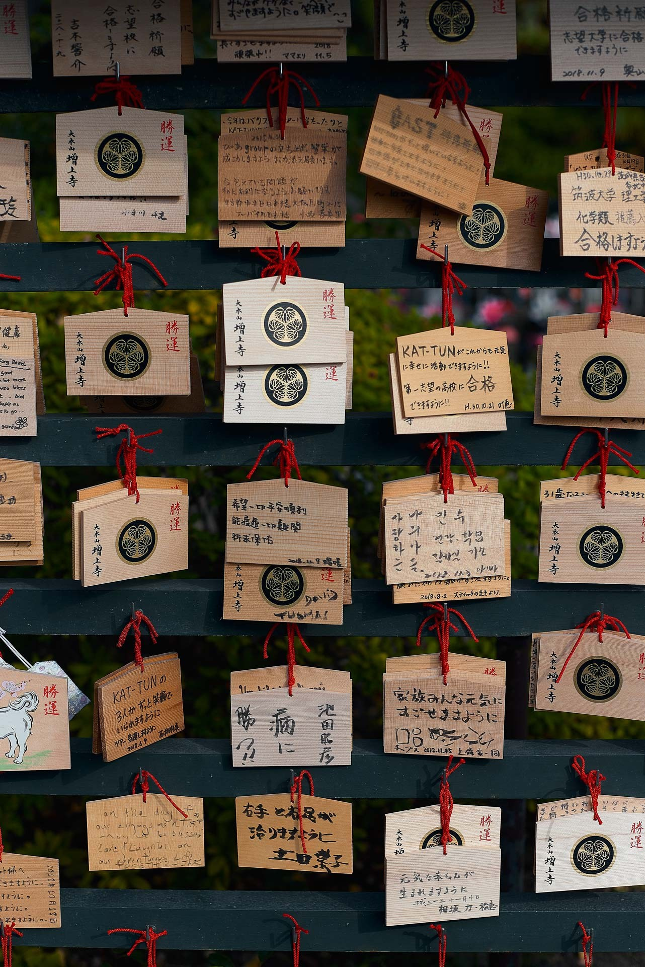 Tokyo Travel Photography Guide: Best Districts, Attractions & Tips