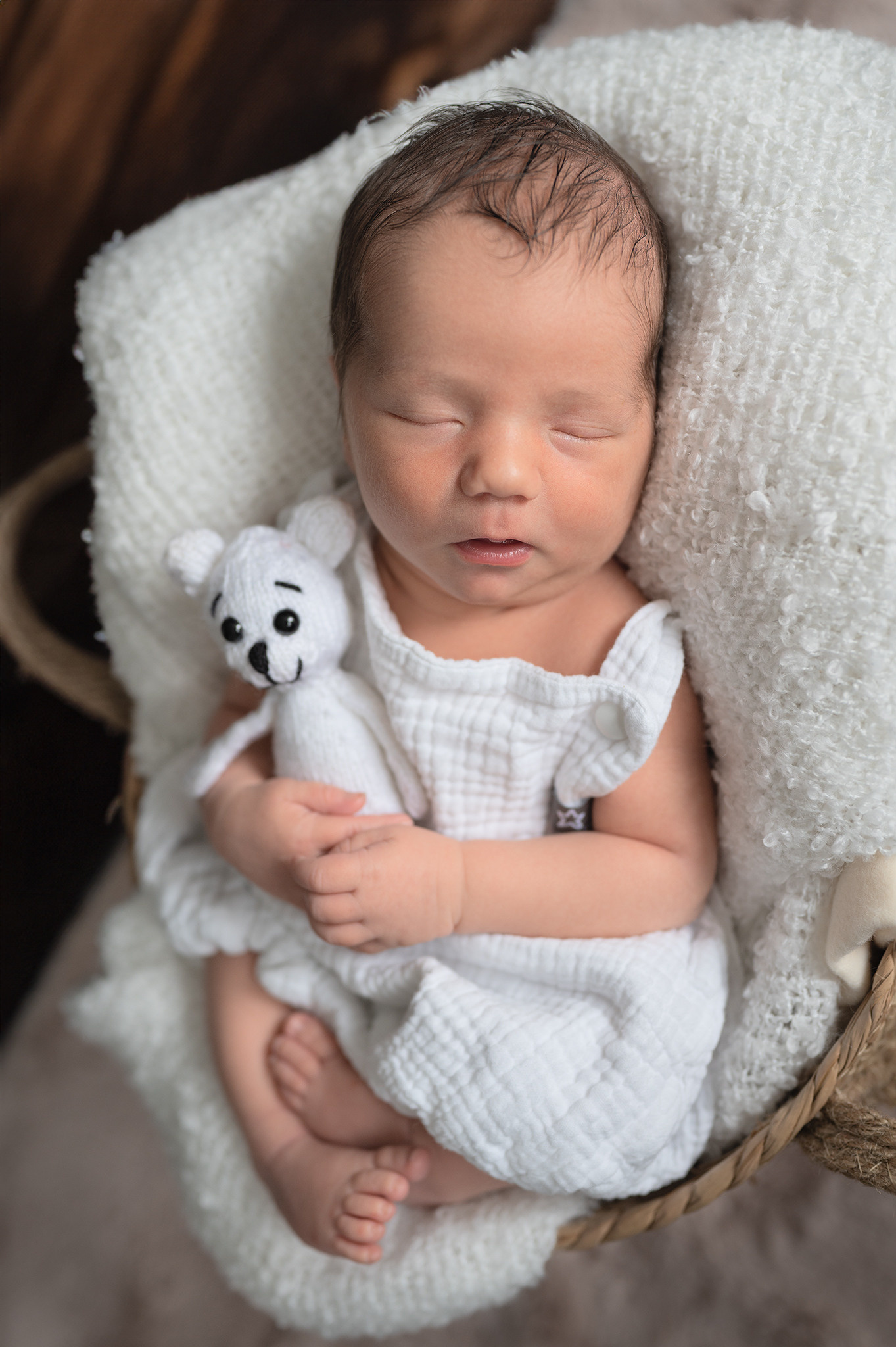 Tierfotografie und Familienfotografie in der Hallertau