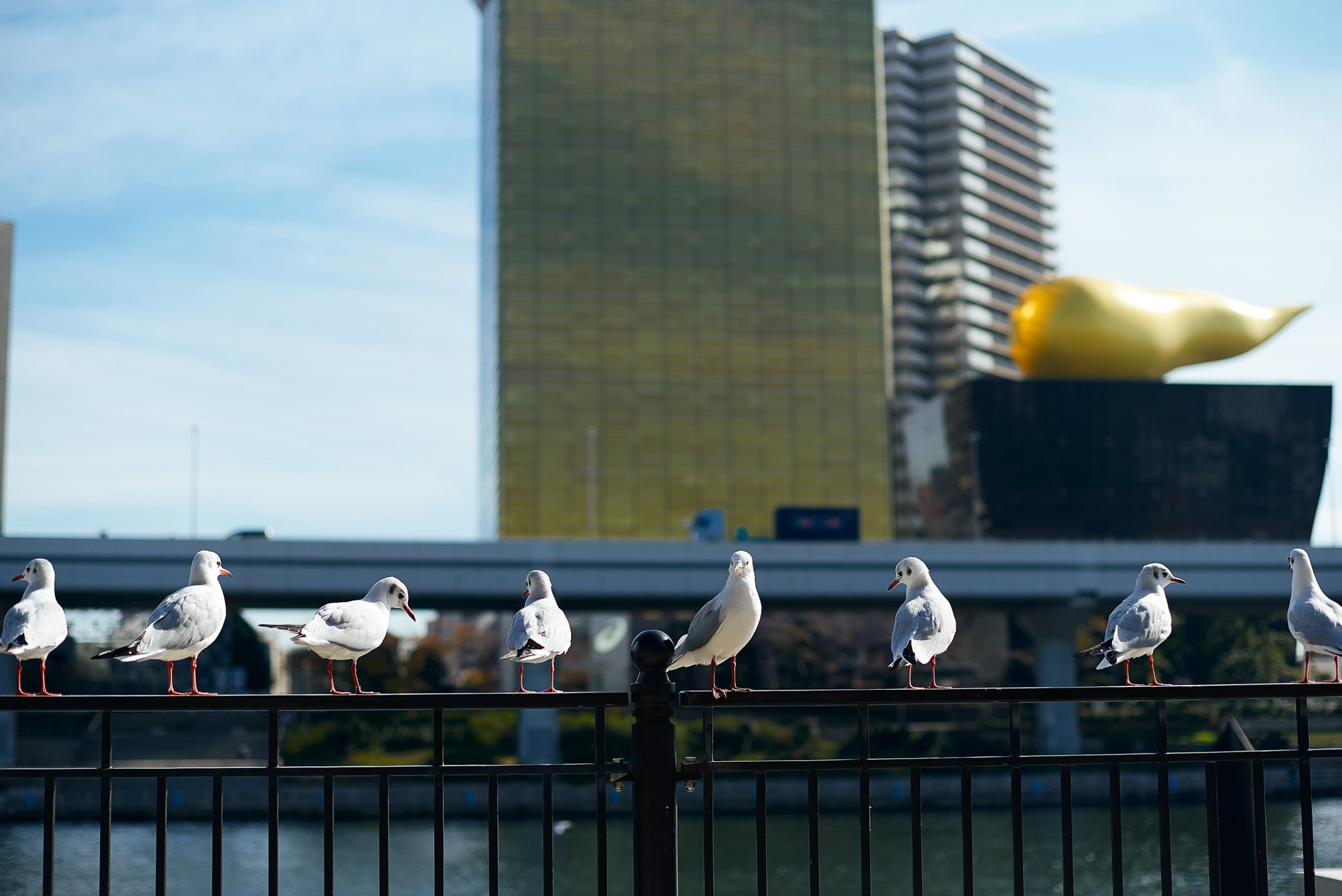 Tokyo Travel Photography Guide: Best Districts, Attractions & Tips