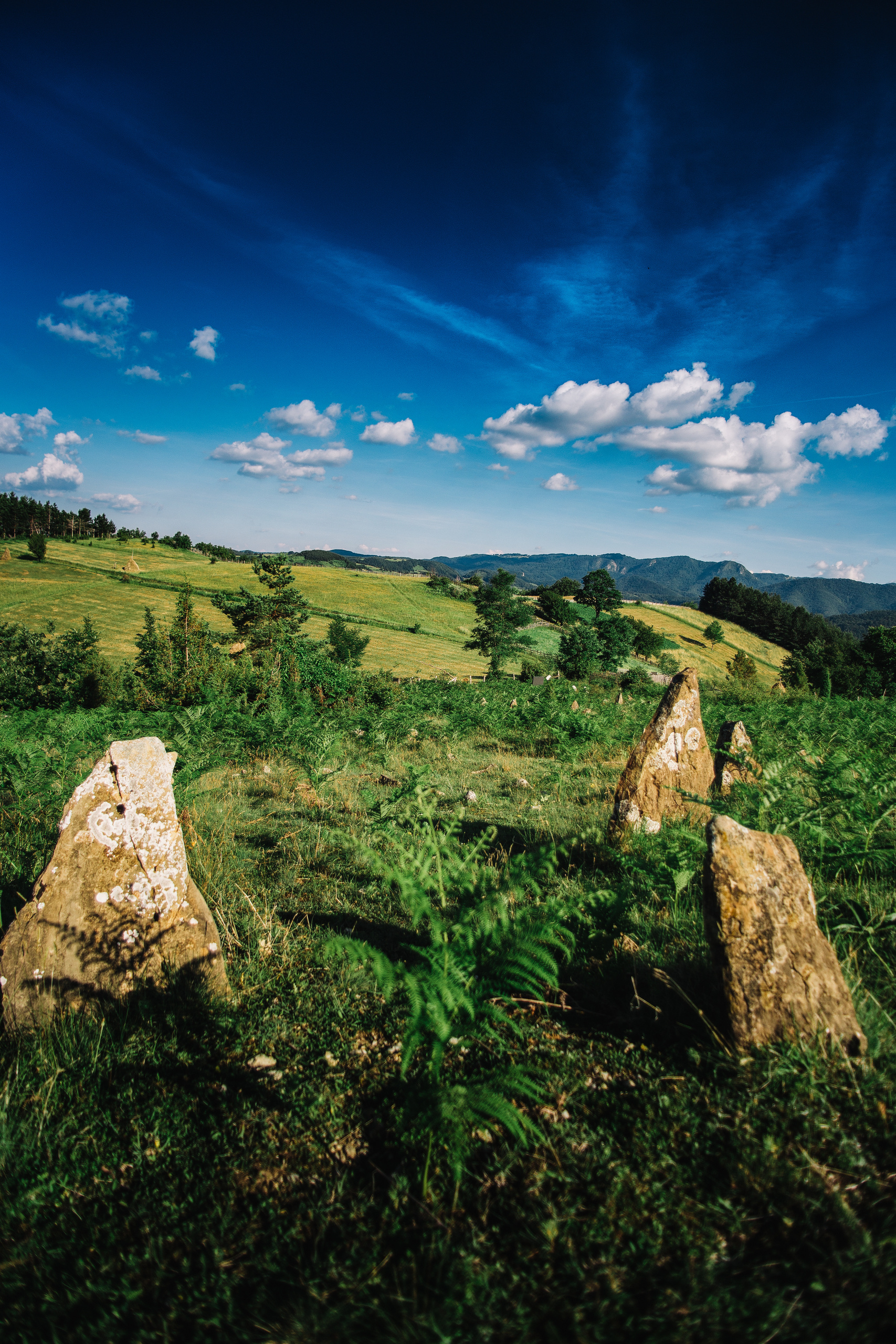 Saint Petersburg. Mark Smilyanic | Portrait and Adventure Photographer from Belgrade
