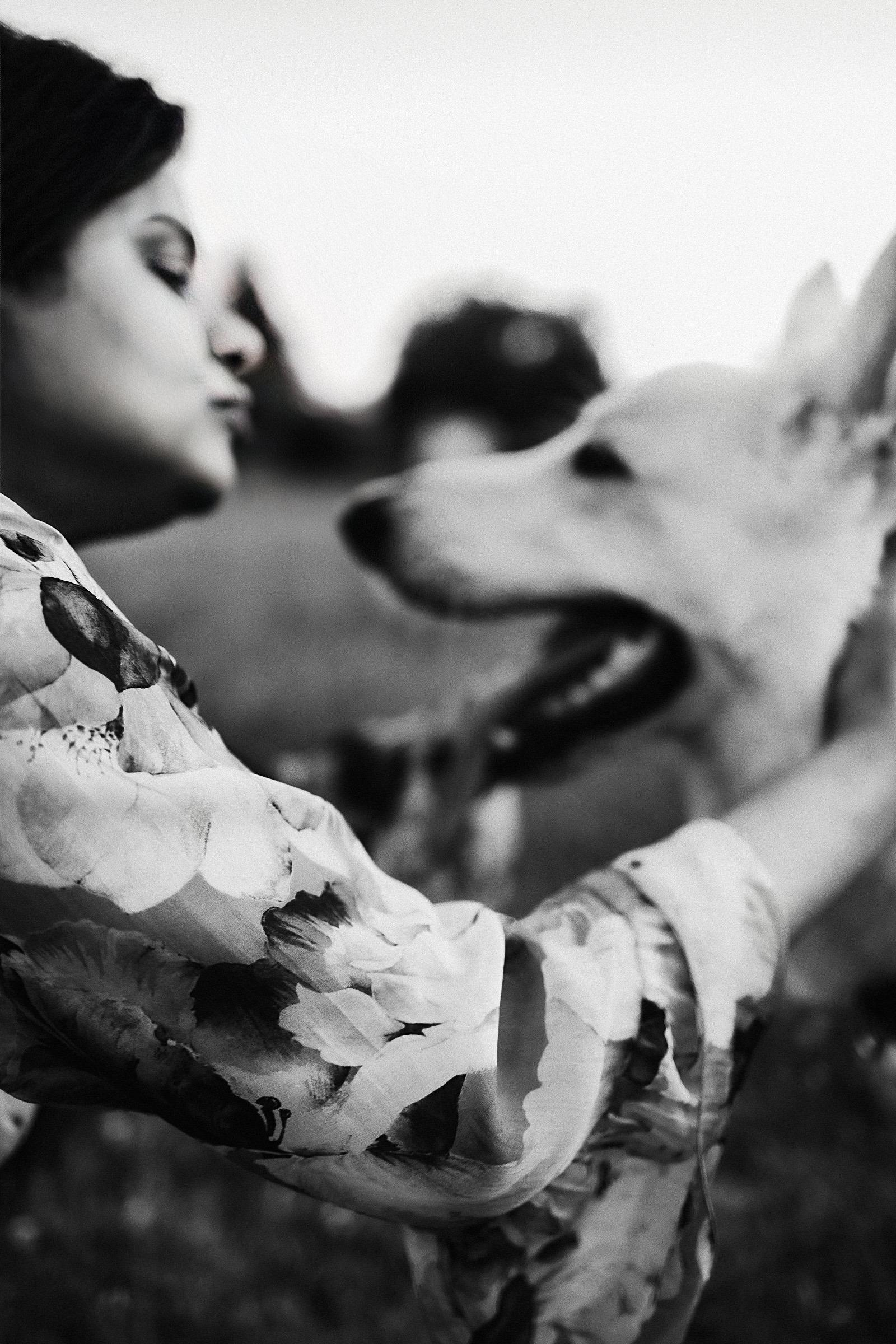 С домашними питомцами