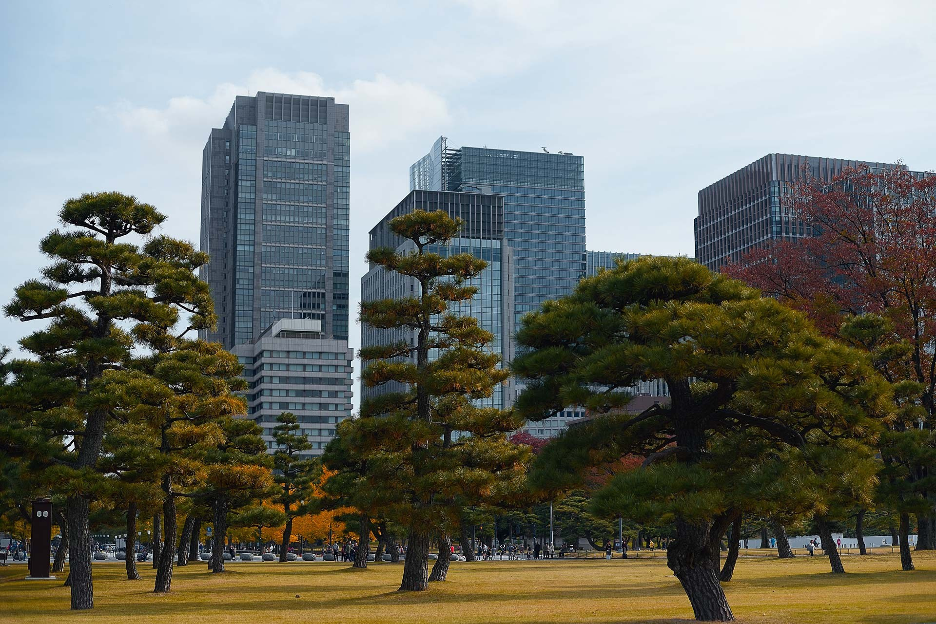 Tokyo Travel Photography Guide: Best Districts, Attractions & Tips