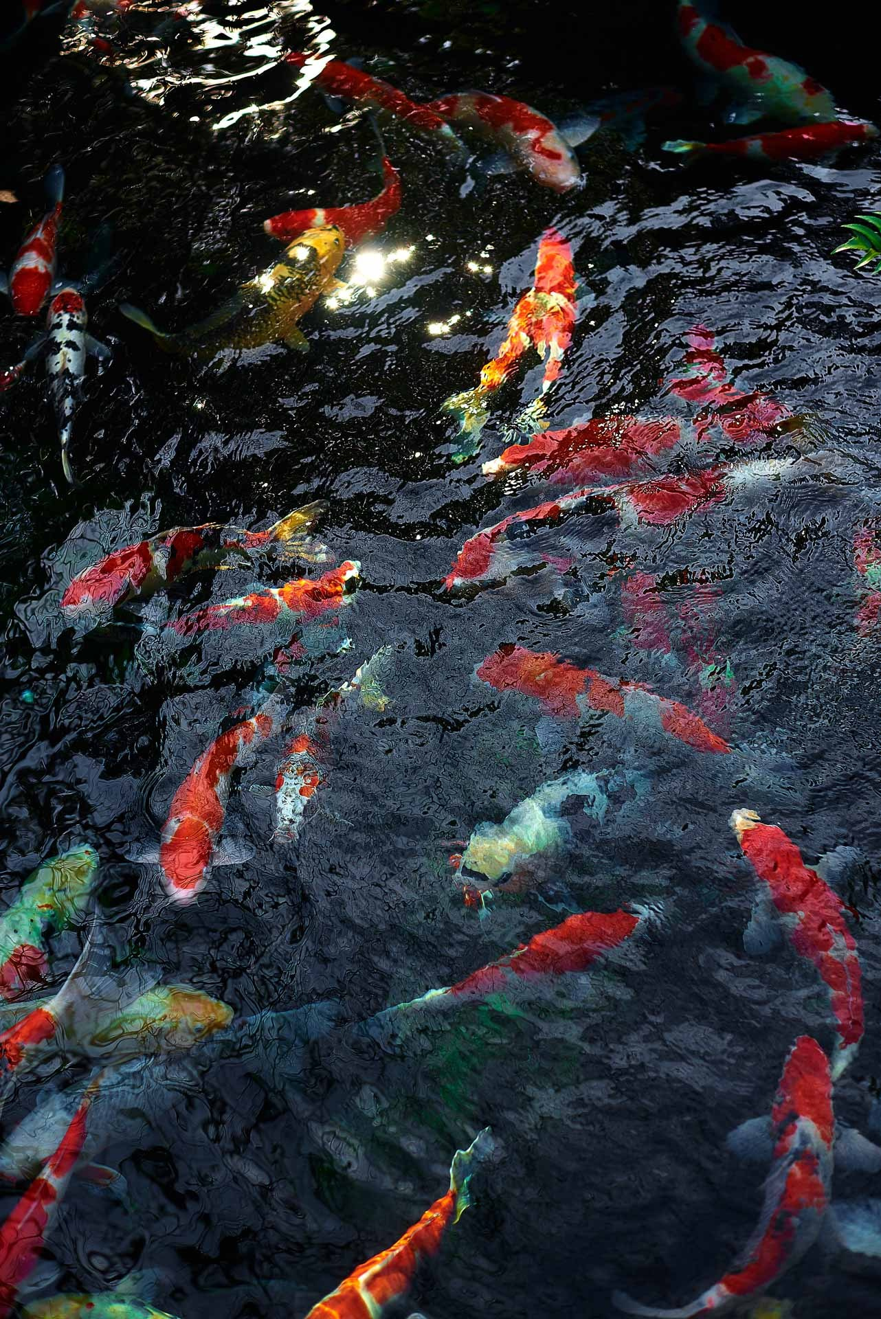 Tokyo Travel Photography Guide: Best Districts, Attractions & Tips