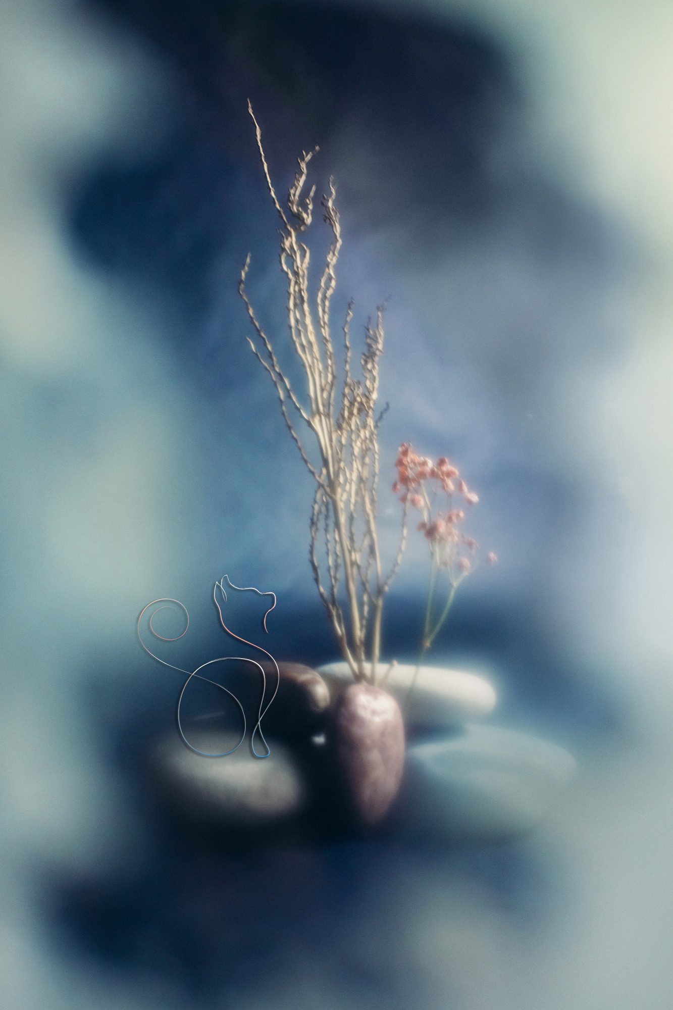 Personalized Still Lives. Lolly Shine. Contemporary digital artist