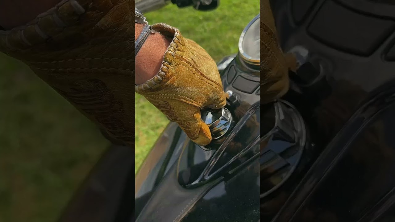 Video. Photographe professionnelle de la ville d’Auxerre - Ekaterina Mathieu