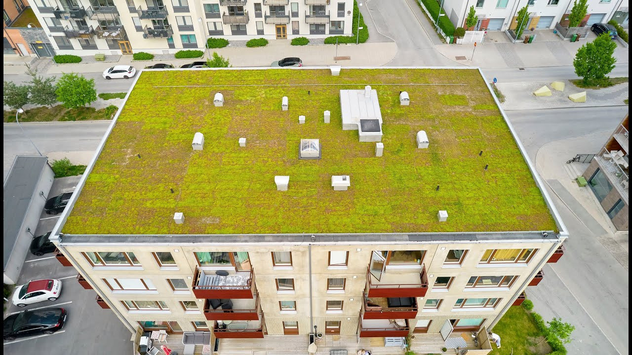 Tak renovering. Bröllopsfoto, foto, flygfoto i Stockholm