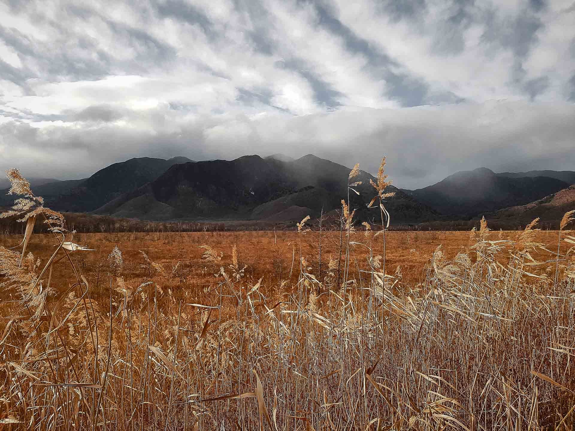 Travel Photography in Hakone & Nikko