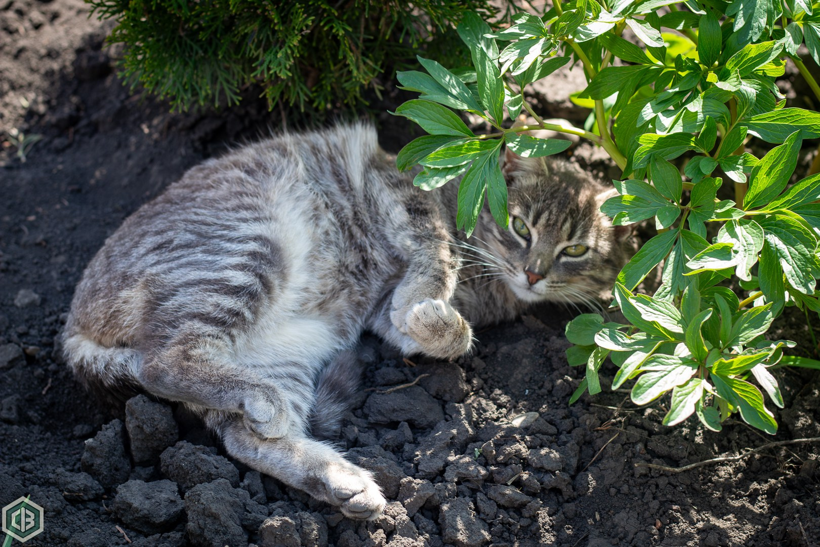 Cristian Baltag | Photography | Capturing Moments in Iasi