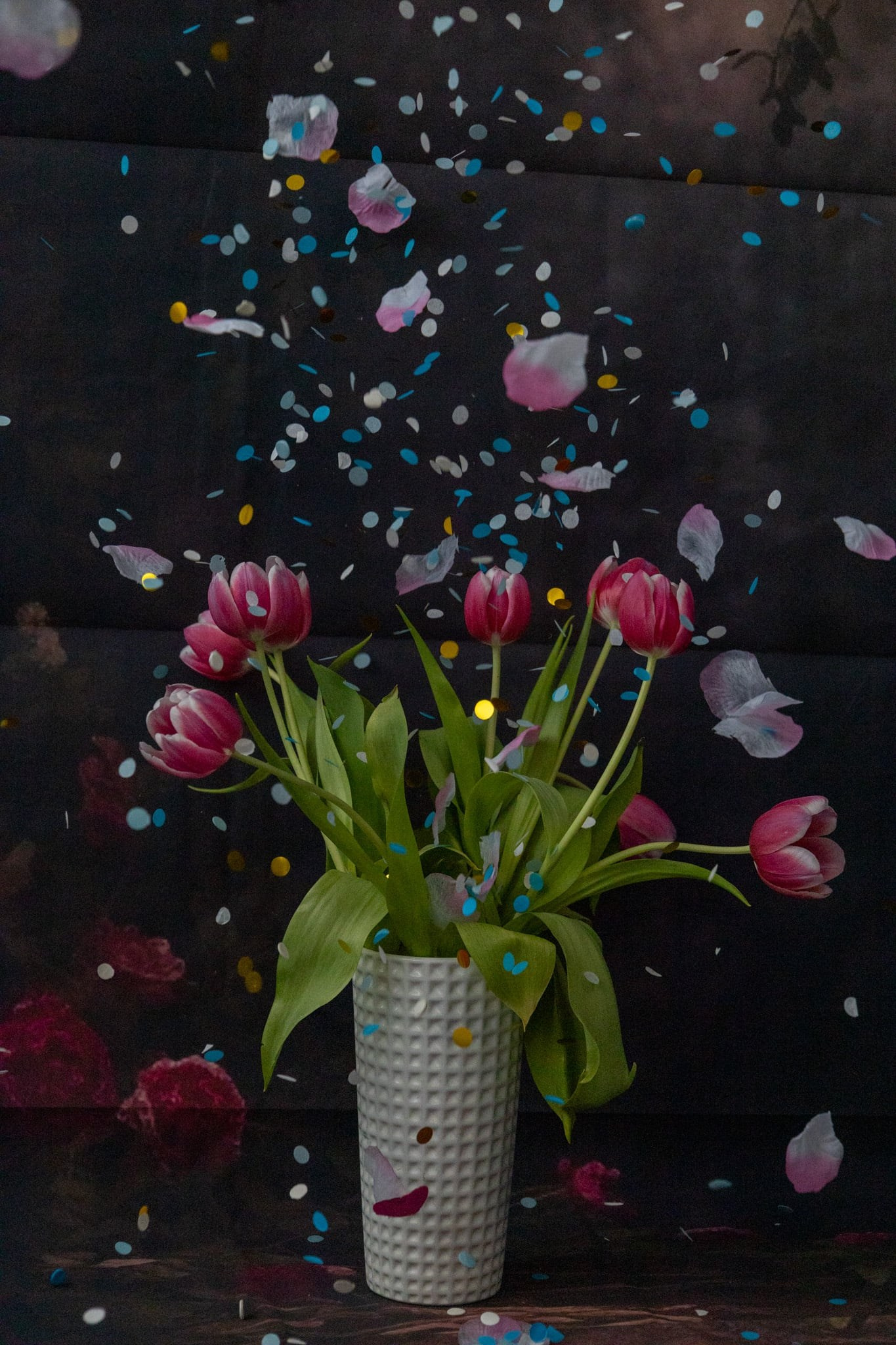 Fotograf familie, mini studio, evenimente, botez, majorat