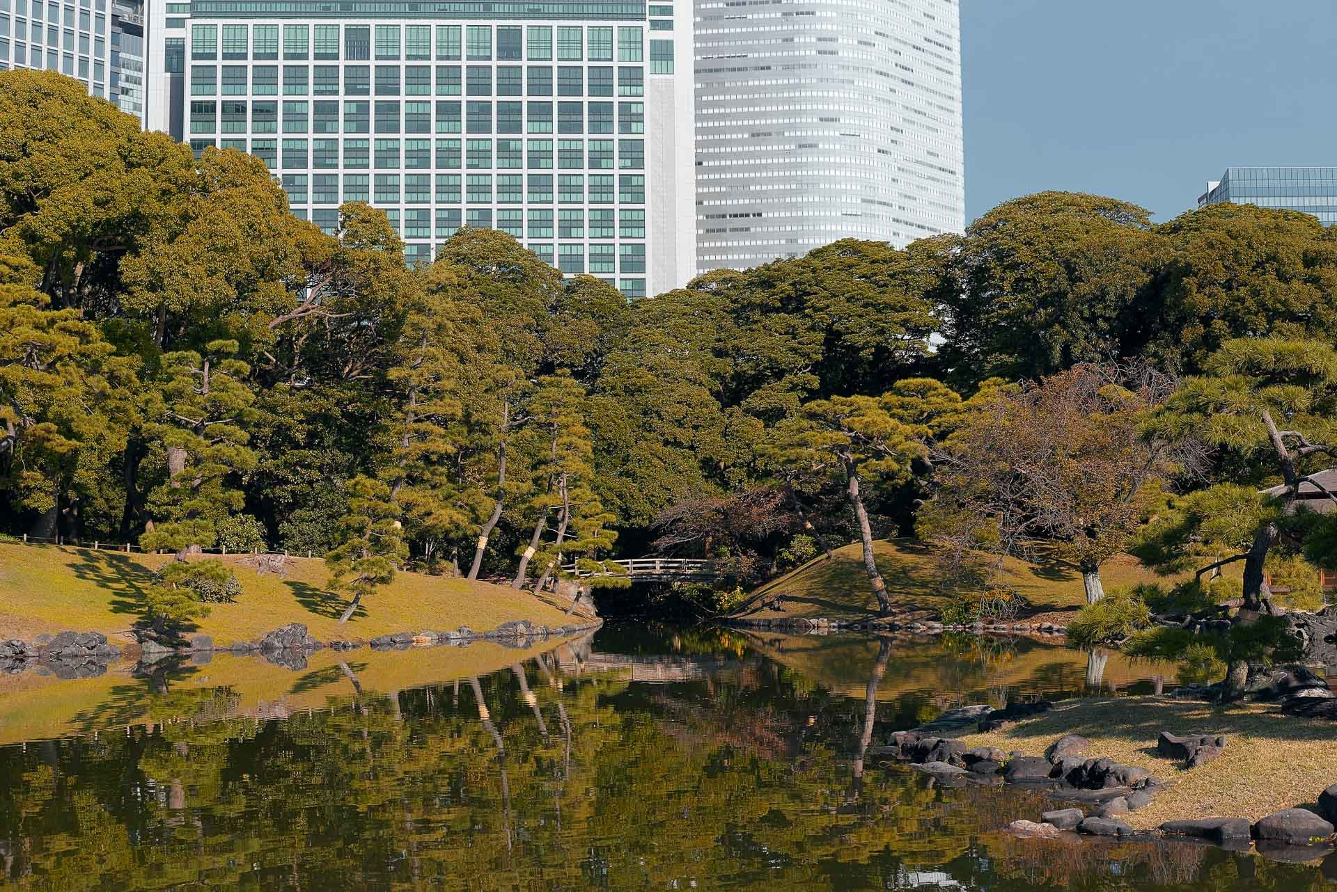 Tokyo Travel Photography Guide: Best Districts, Attractions & Tips