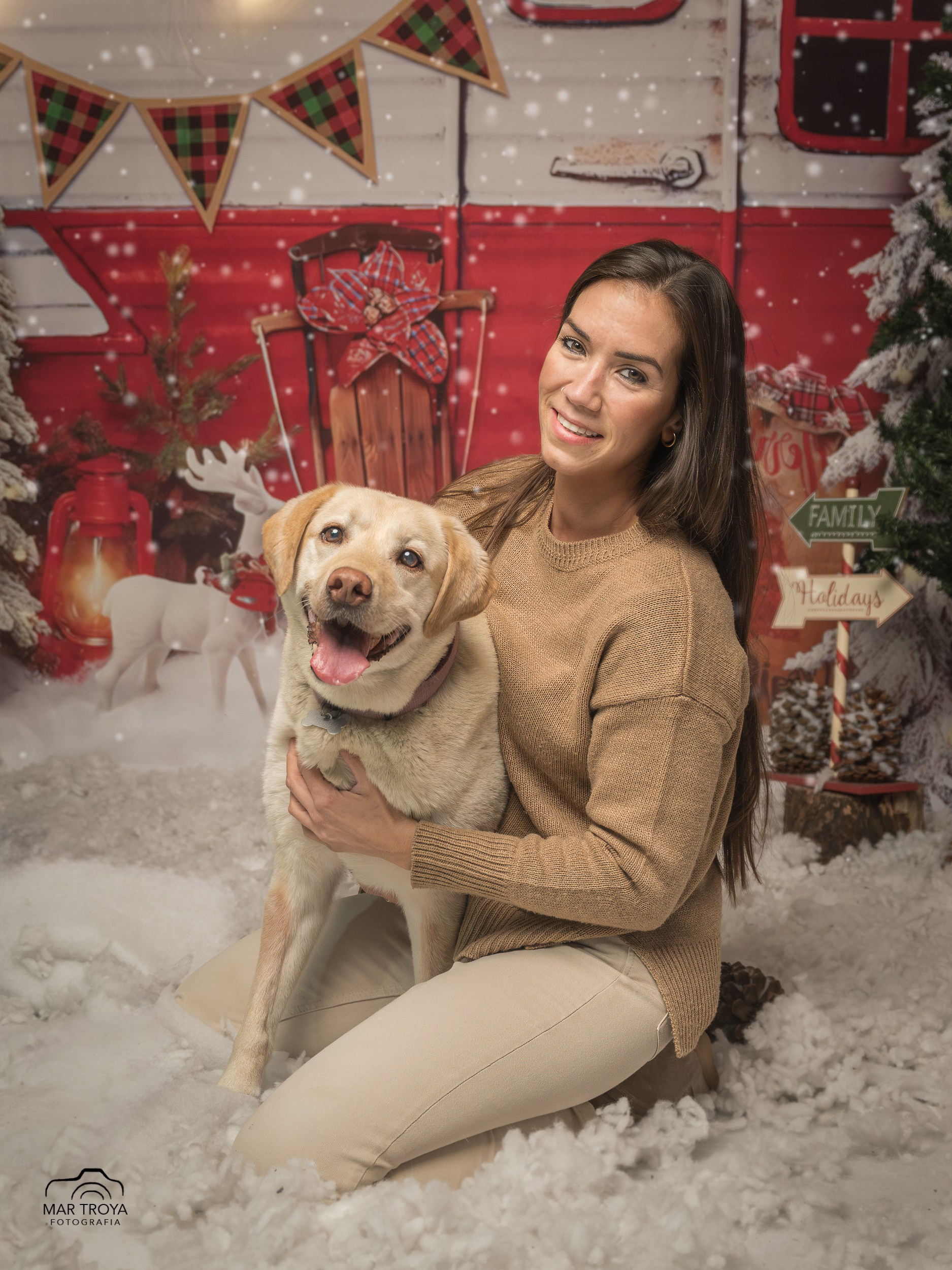 Navidad 2025. Fotos con huella, fotografía de perros y mascotas en Sevilla