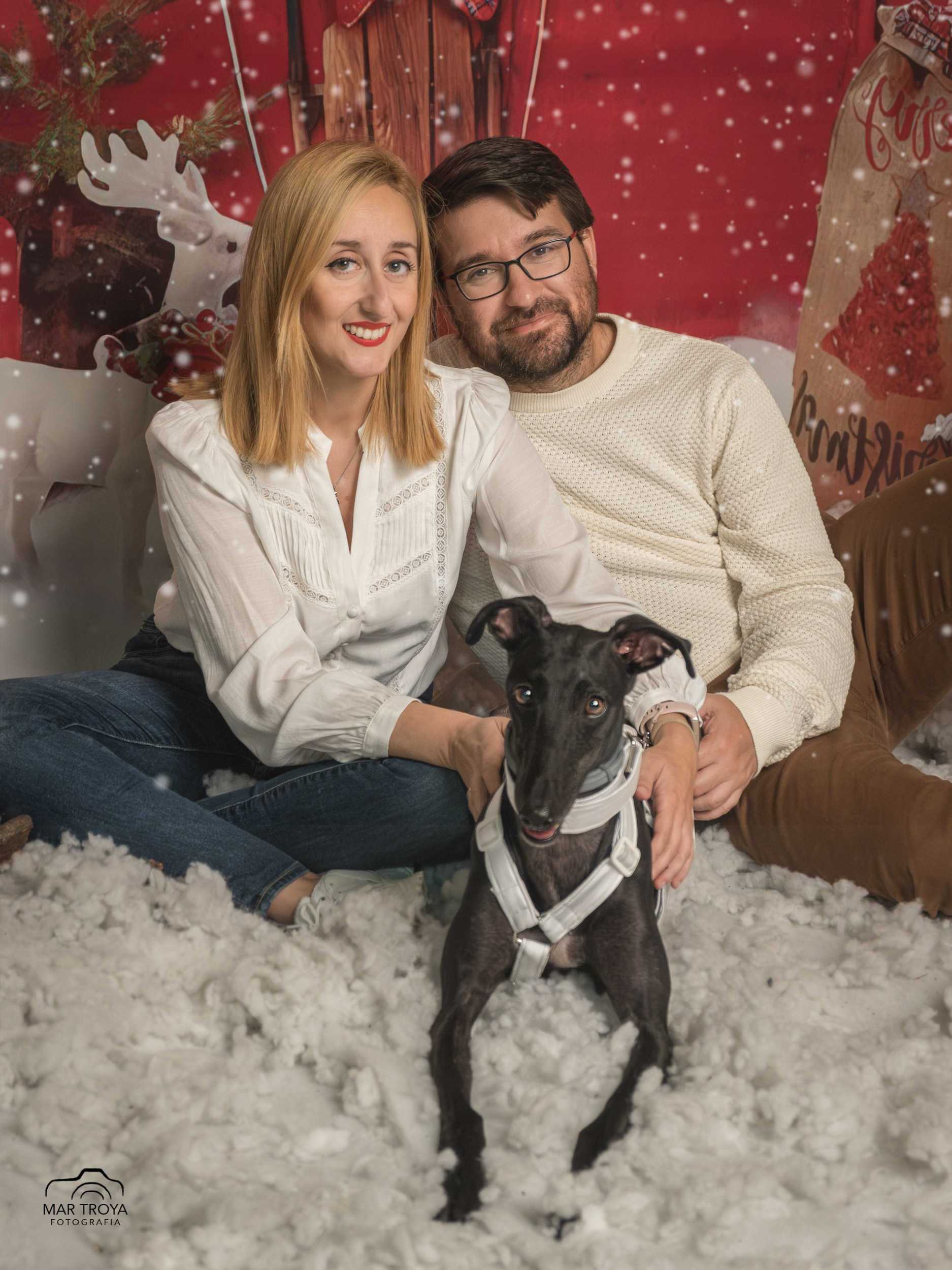 Navidad 2025. Fotos con huella, fotografía de perros y mascotas en Sevilla