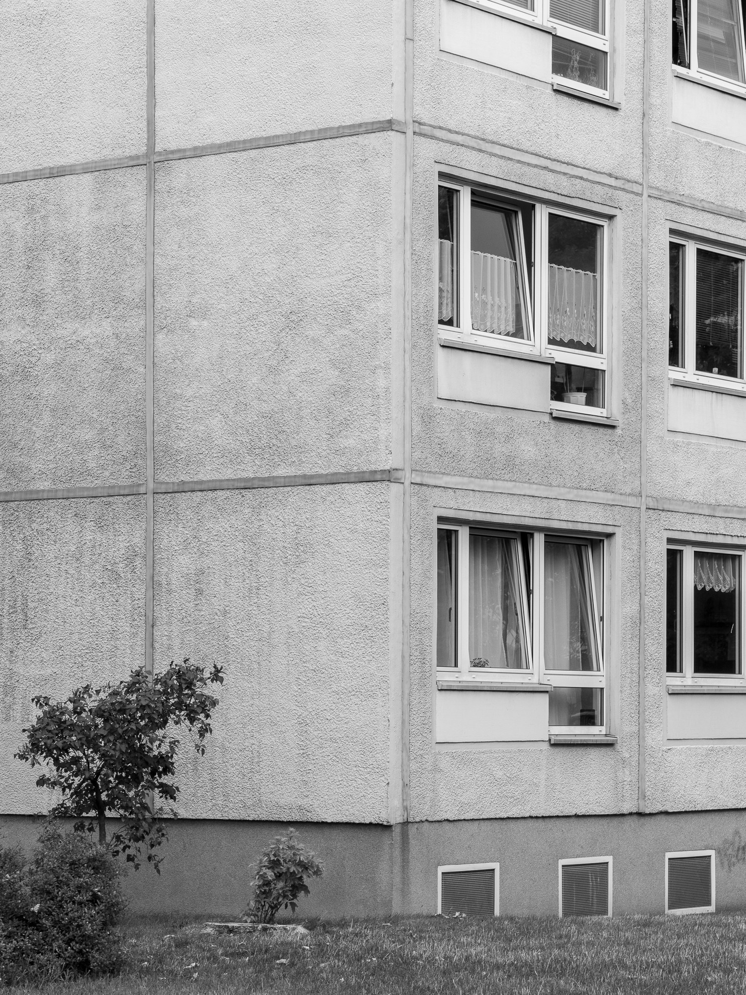 Social Housing. Anastasia Musinova