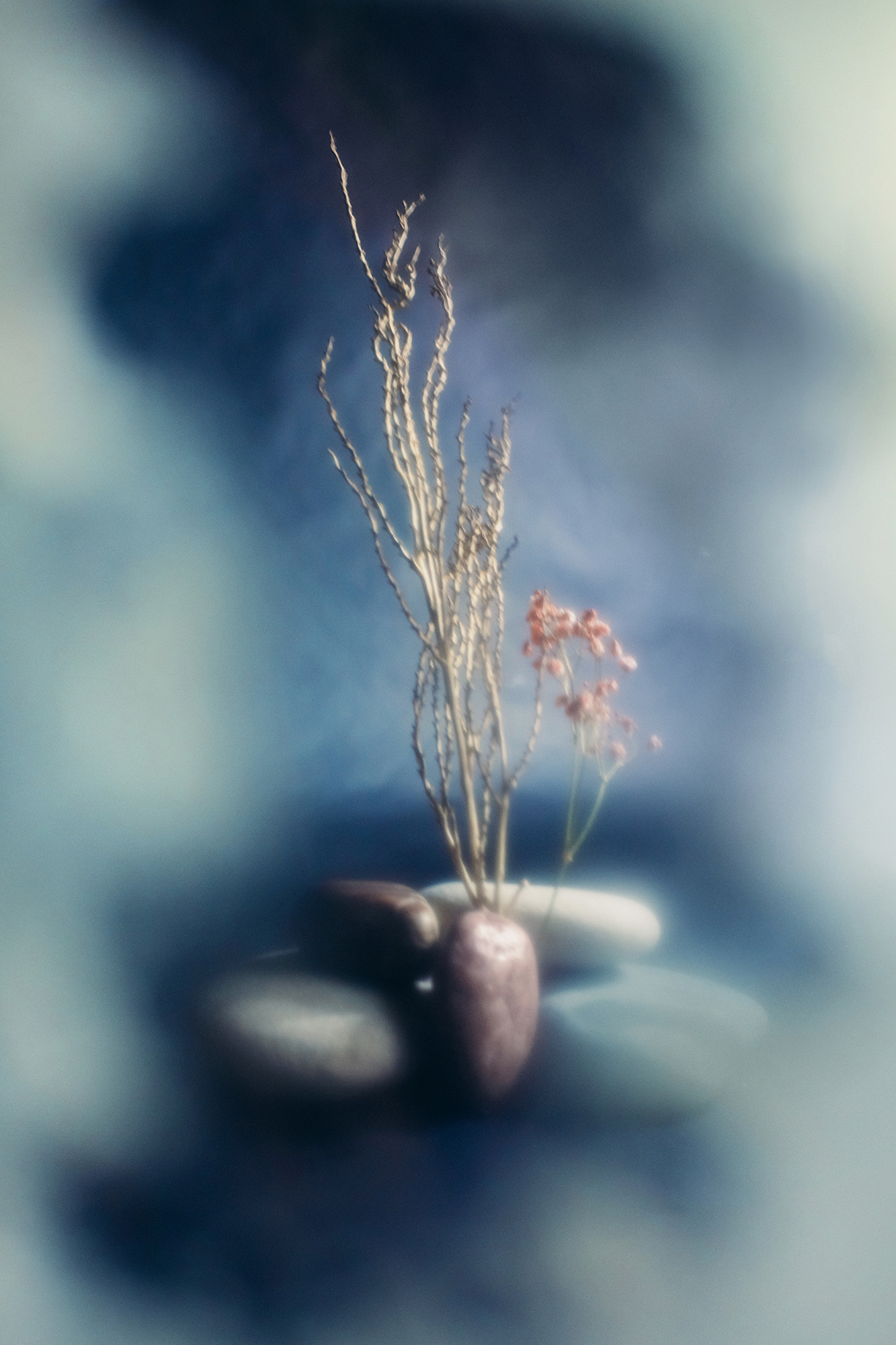 Winter mood. Lolly Shine. Contemporary digital artist