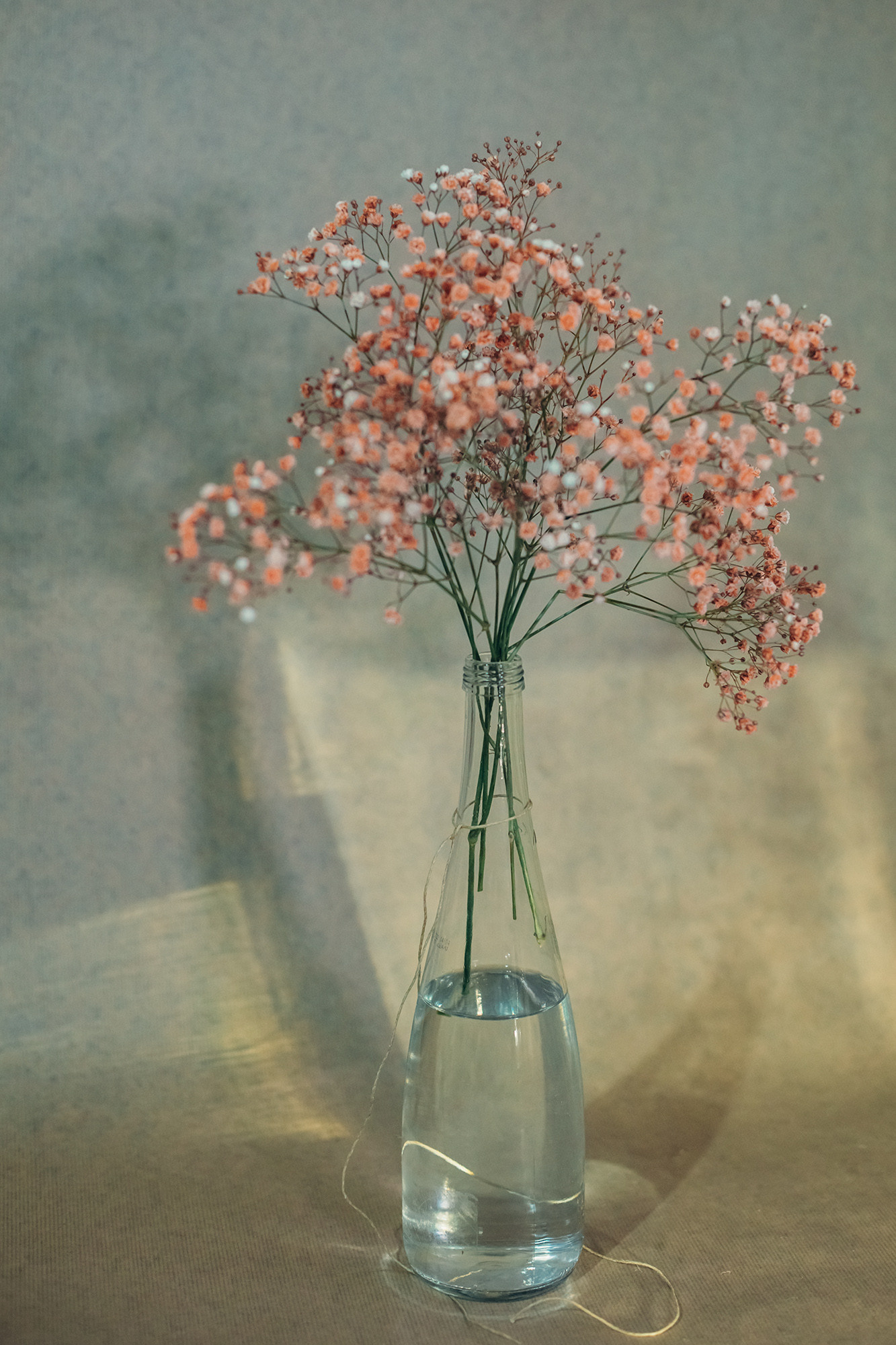 Permanence. Lolly Shine. Contemporary digital artist