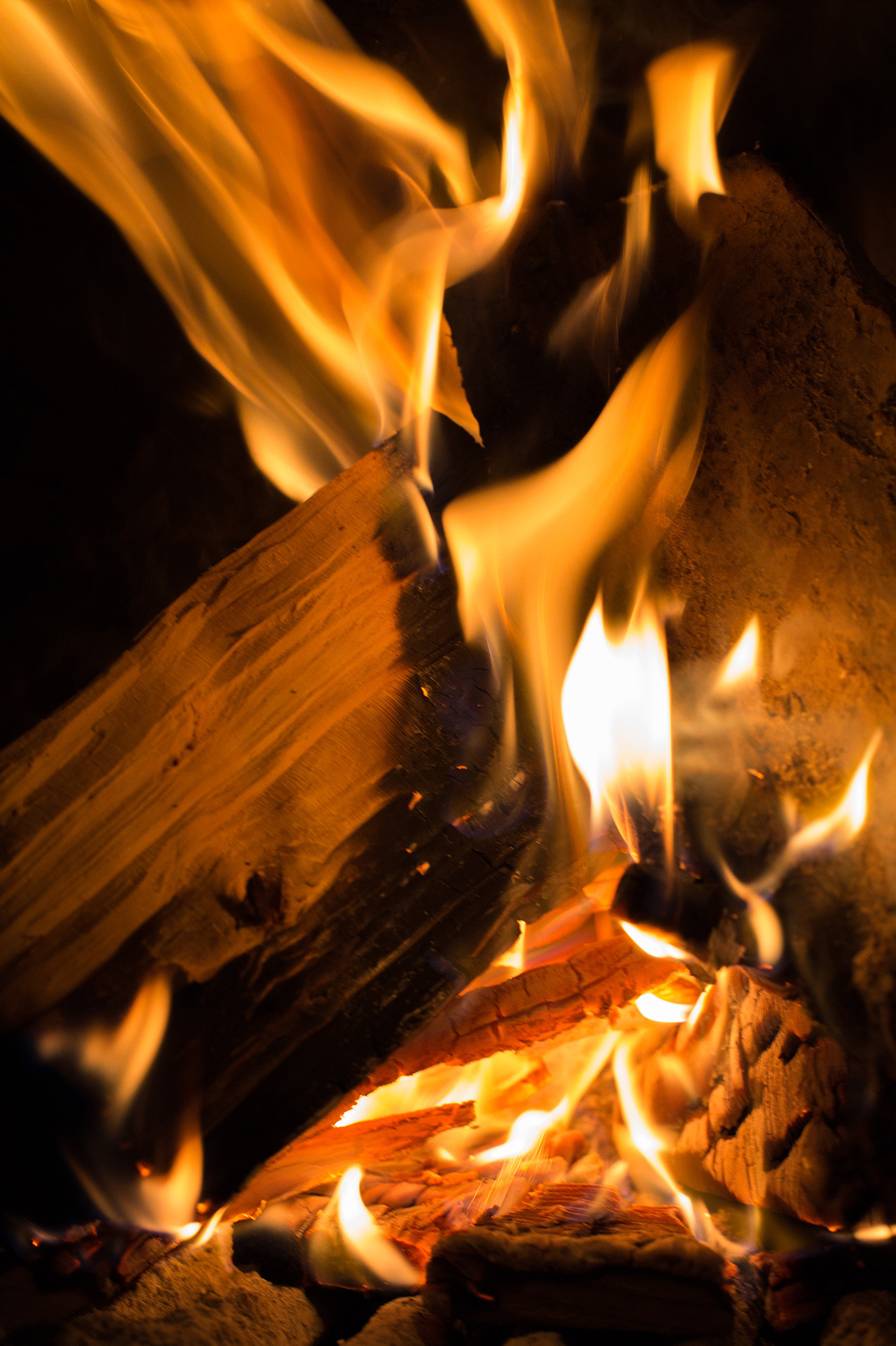 Fire. Lolly Shine. Contemporary digital artist