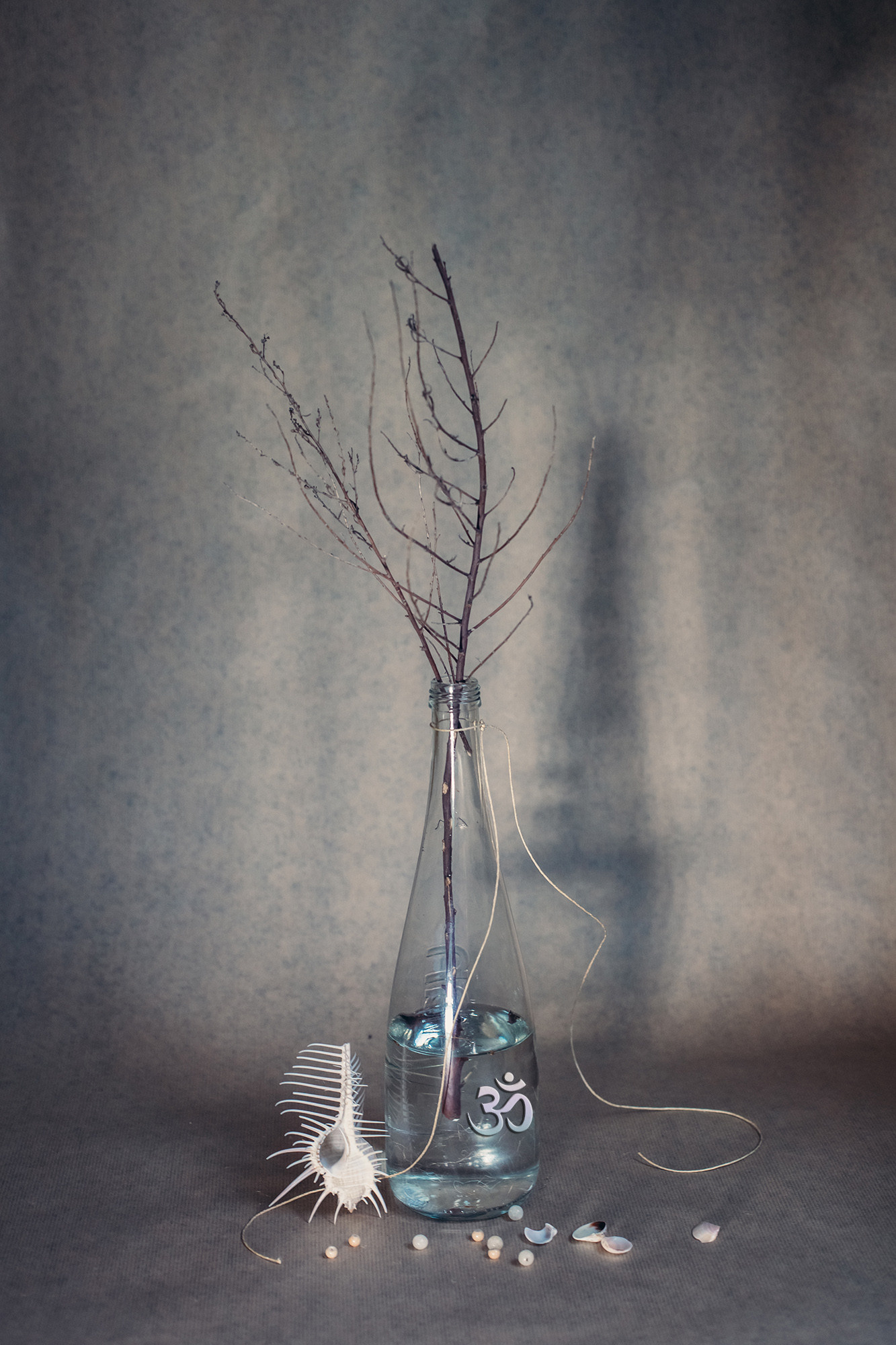 Personalized Still Lives. Lolly Shine. Contemporary digital artist