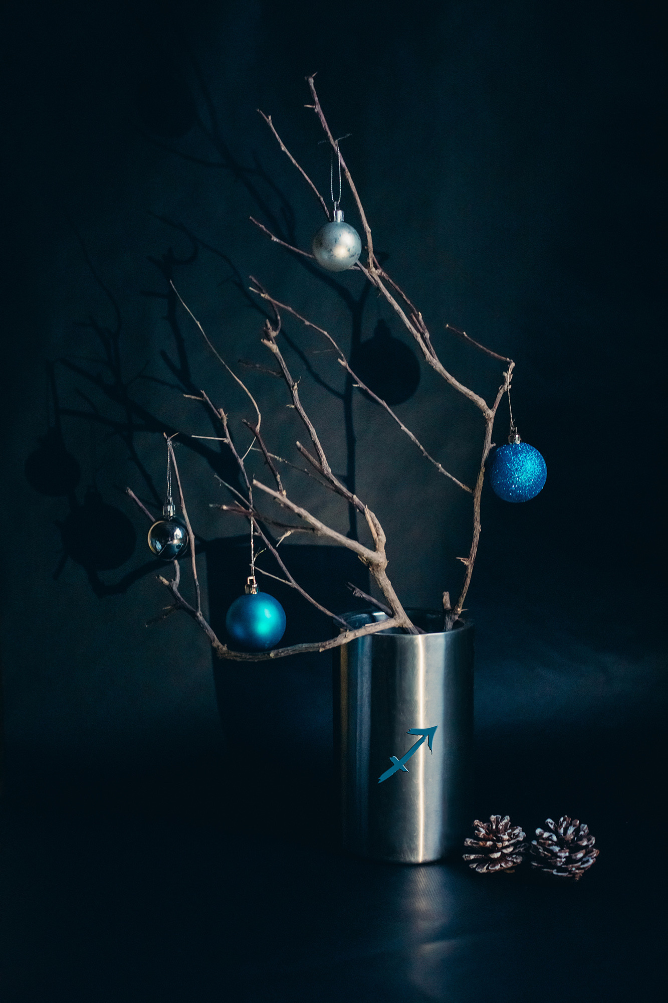 Personalized Still Lives. Lolly Shine. Contemporary digital artist