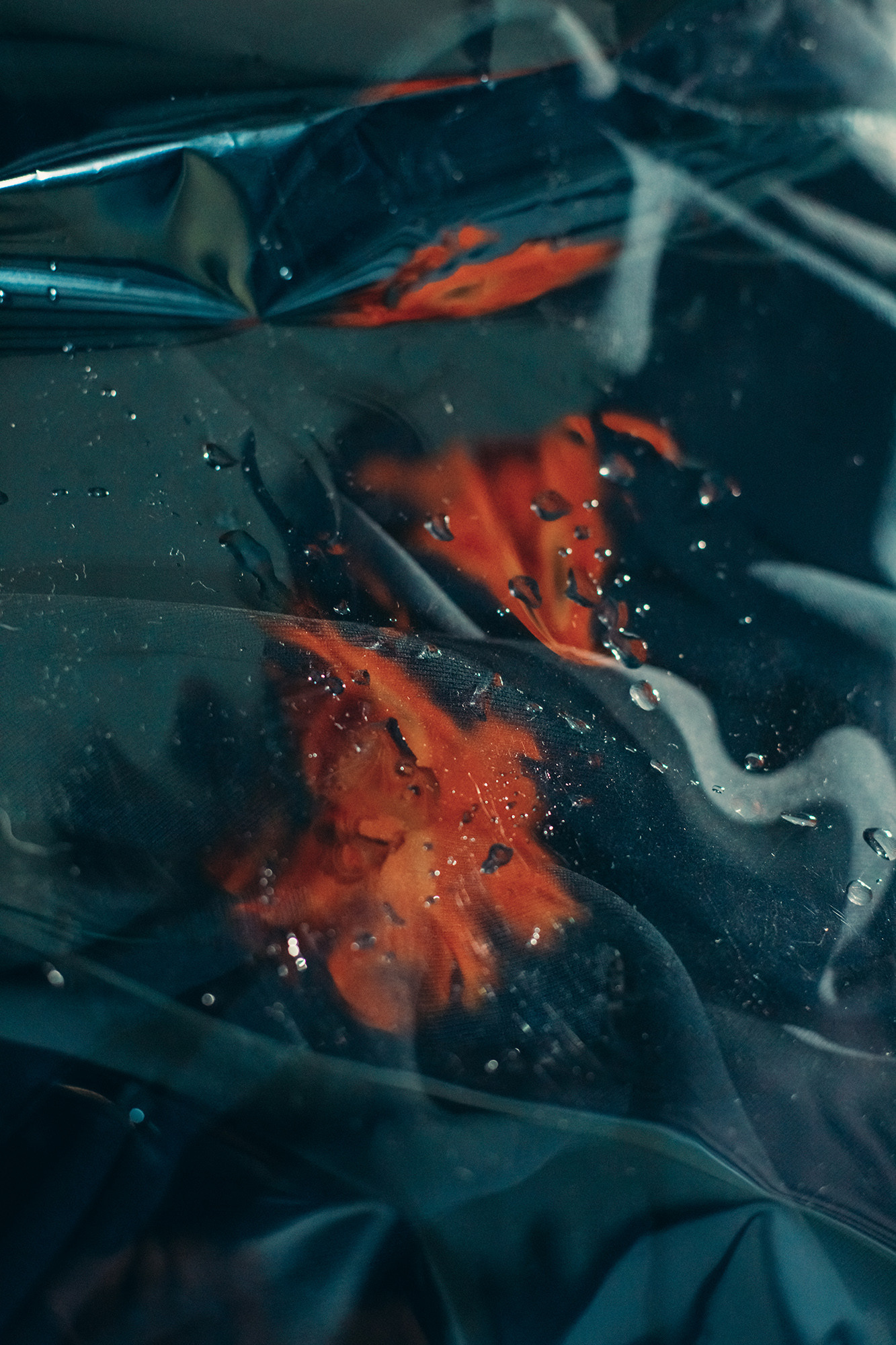 Fantasy. Lolly Shine. Contemporary digital artist