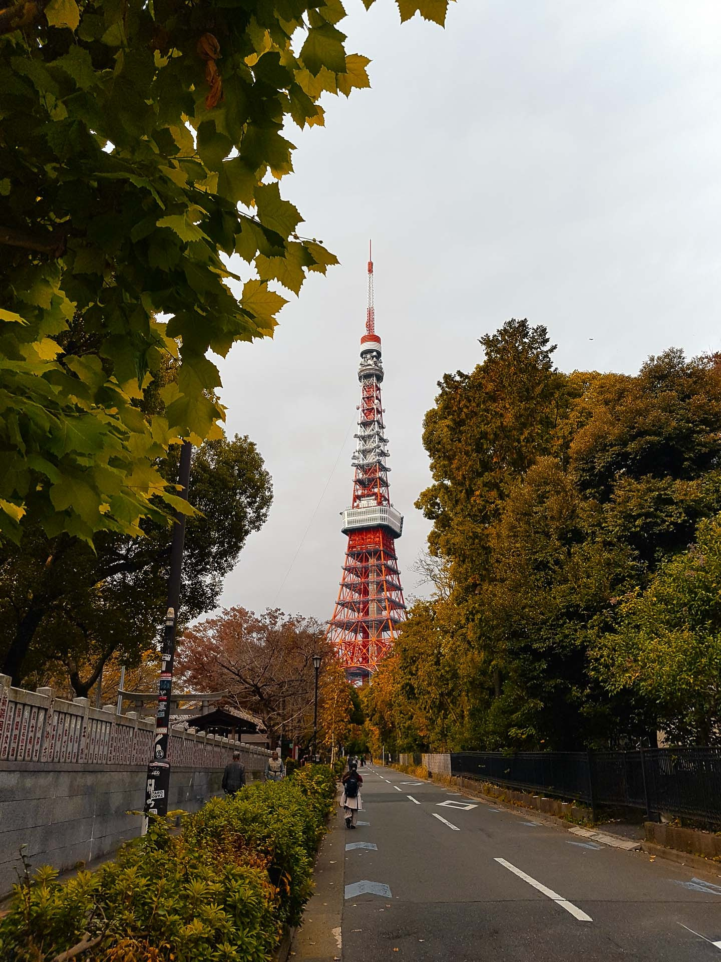 Tokyo Travel Photography Guide: Best Districts, Attractions & Tips