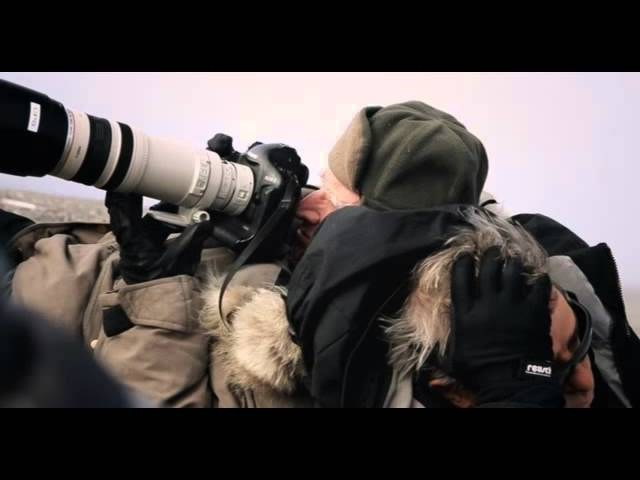 CAFE DEL PHOTO #91 «Соль Земли». Памяти Сальгадо. Școala de fotografie lui Roman Ribaliov. Orașul Chișinău, Moldova