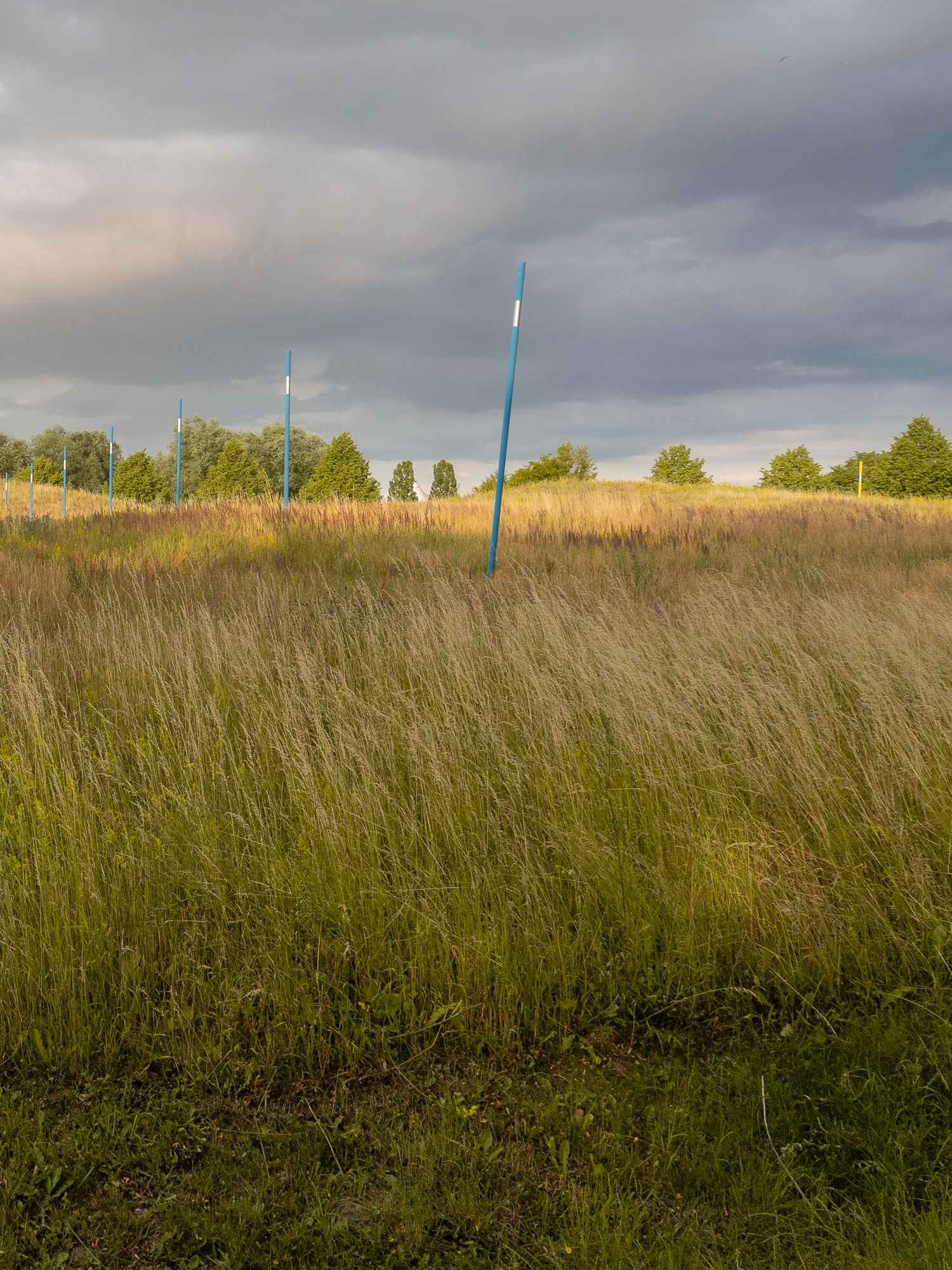 Arrival. Anastasia Musinova