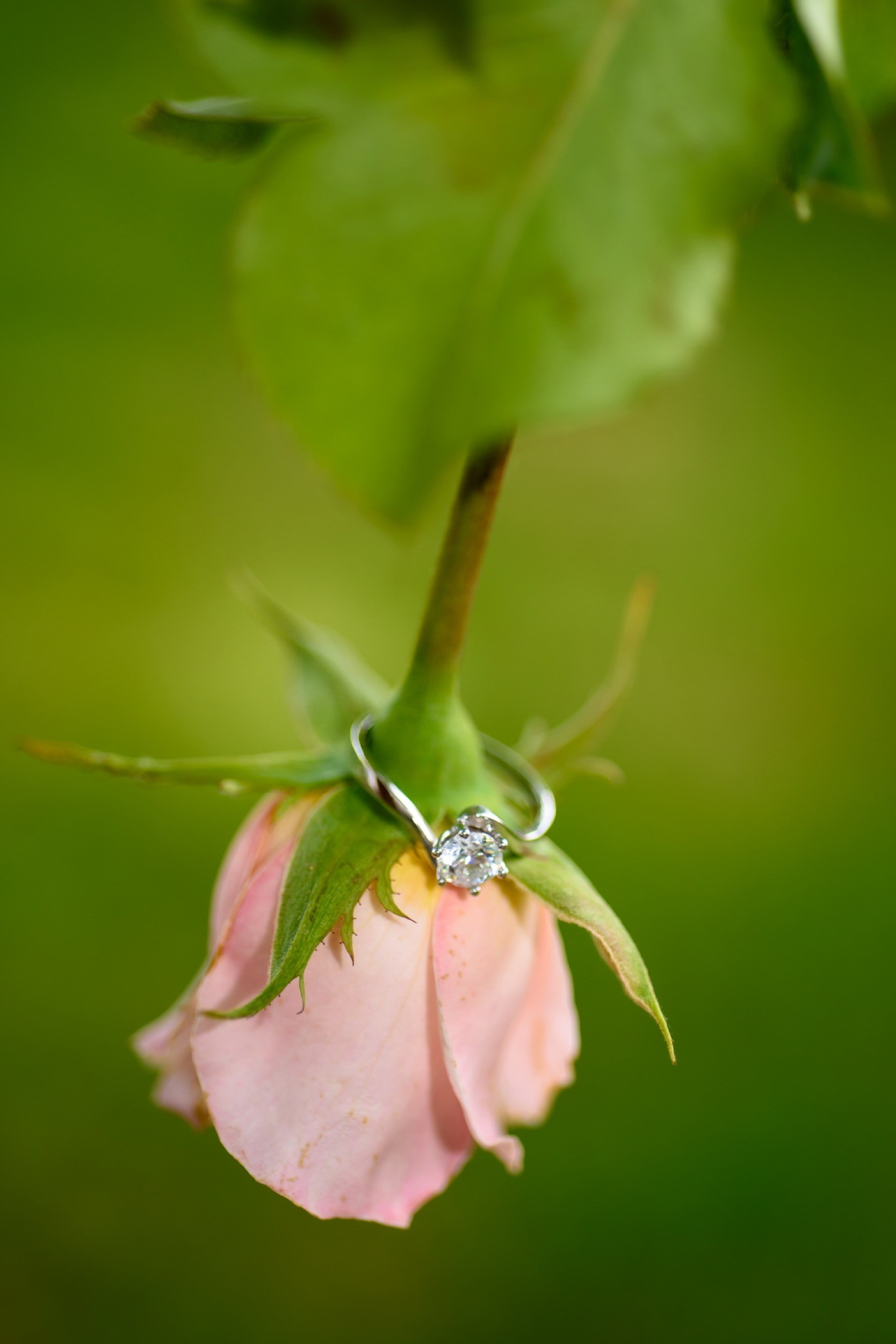Pronađite savršen plan za vaš poseban dan. Fotograf za venčanja Novi Sad - Dragan Burnać