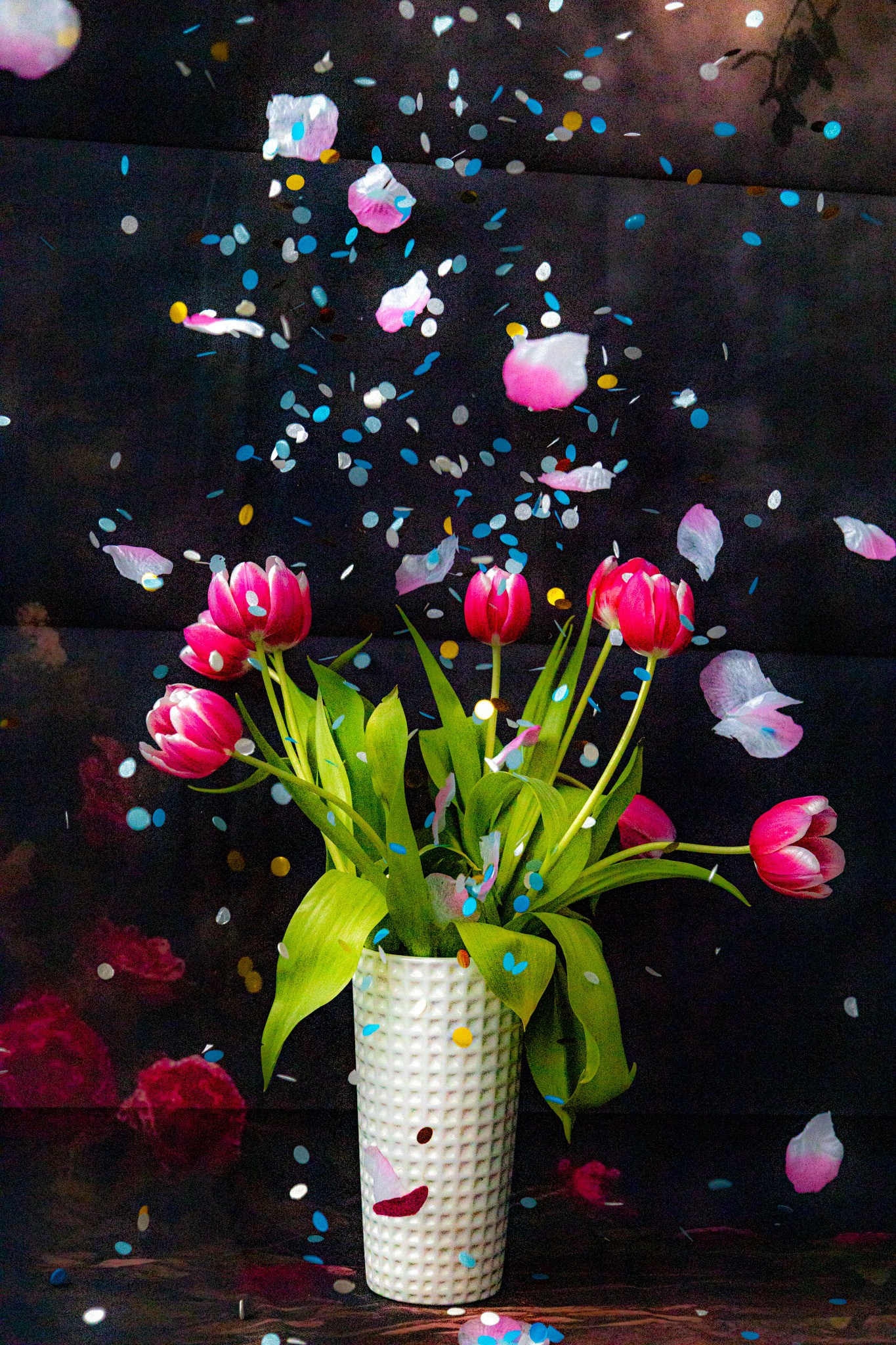 Fotograf familie, mini studio, evenimente, botez, majorat