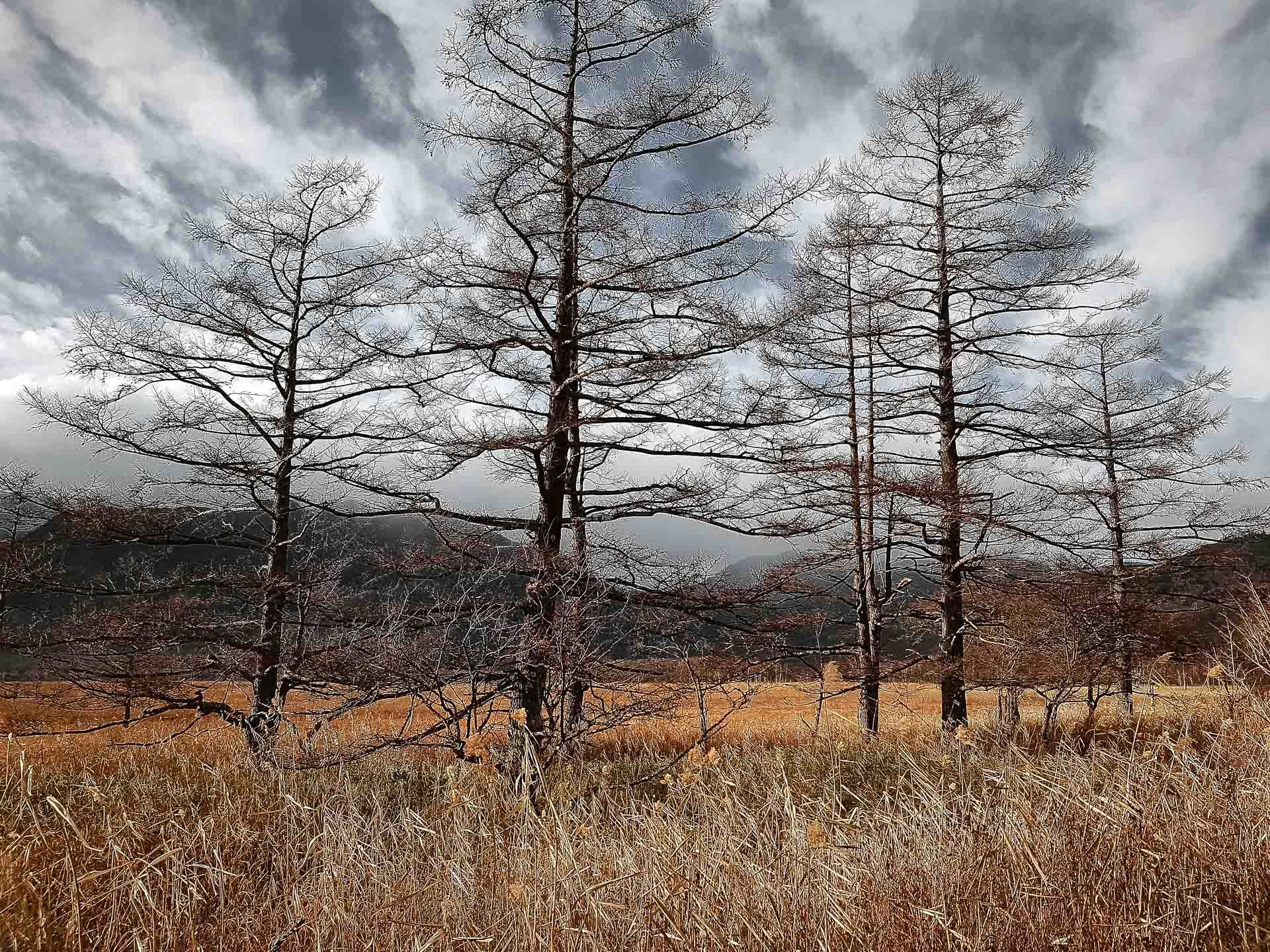 Travel Photography in Hakone & Nikko