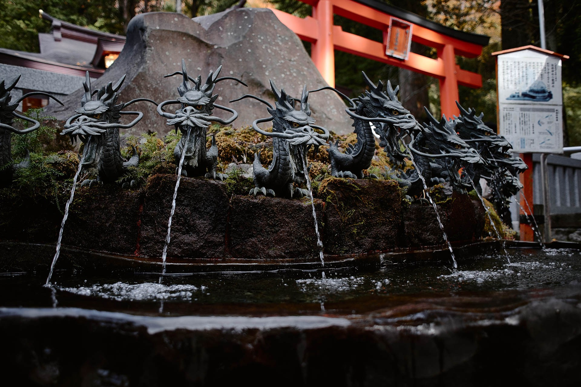 Travel Photography in Hakone & Nikko