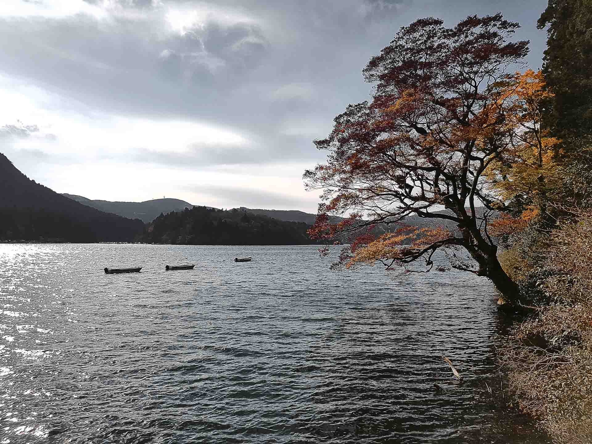 Travel Photography in Hakone & Nikko