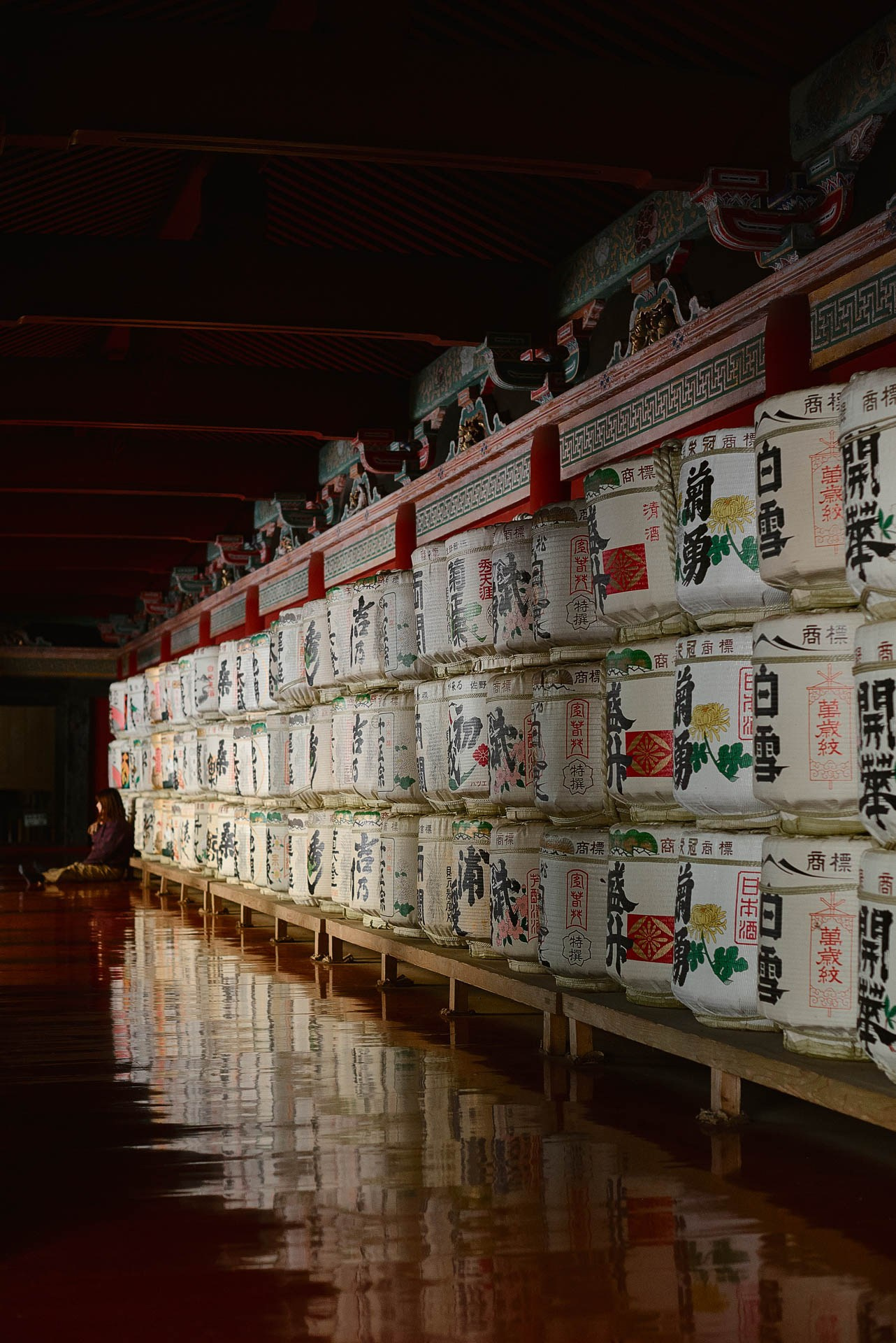 Travel Photography in Hakone & Nikko