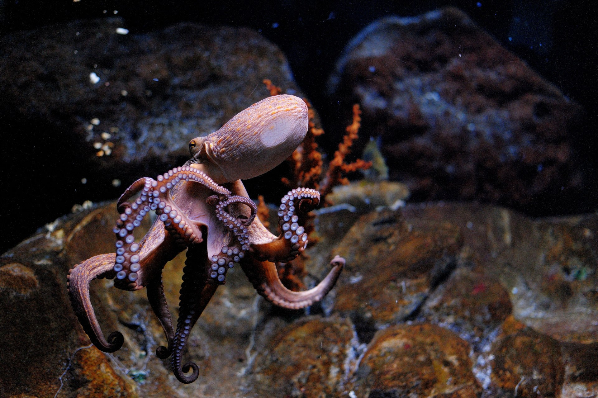 Spain Travel Photography