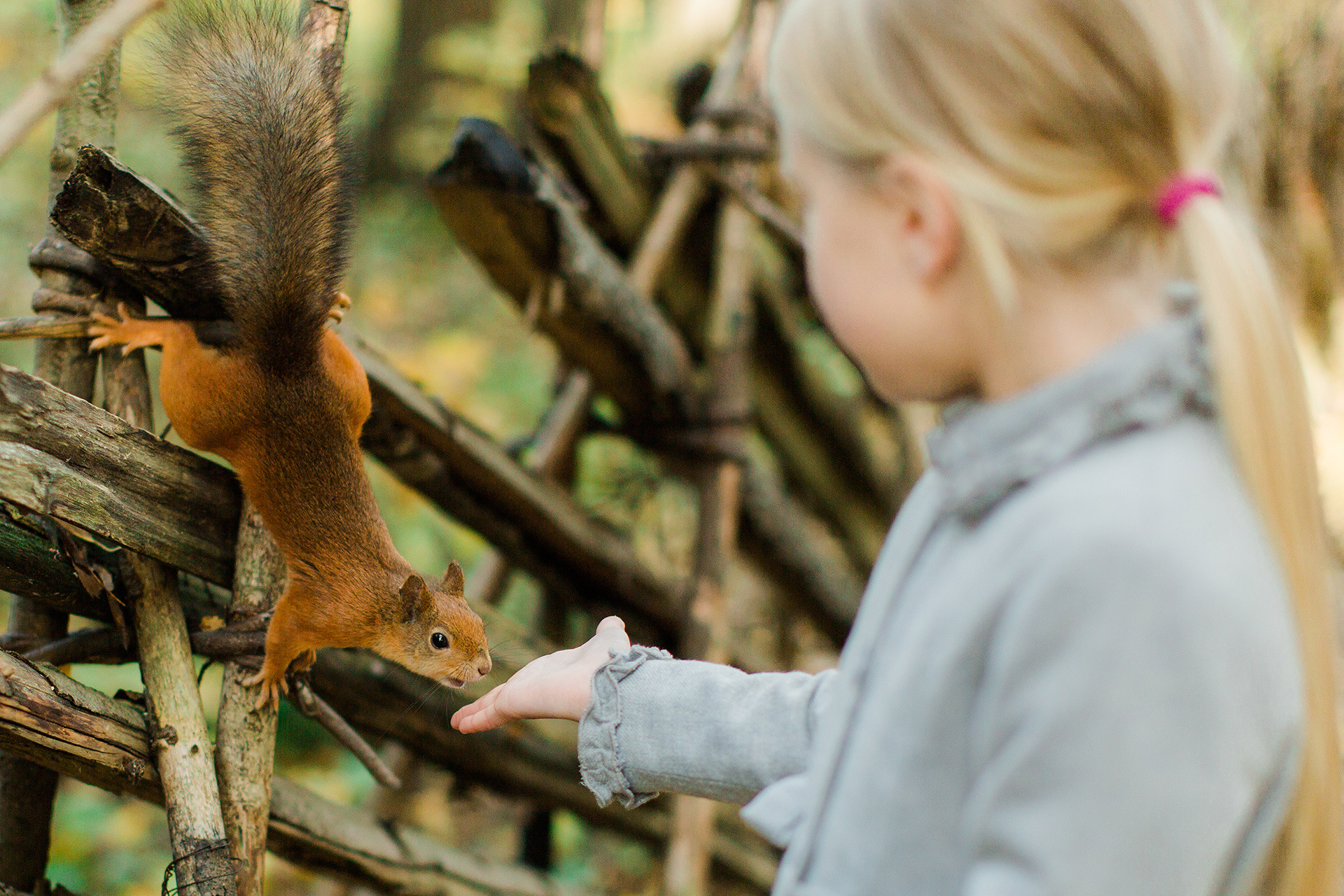 PK-seudun parhaat kuvauspaikat