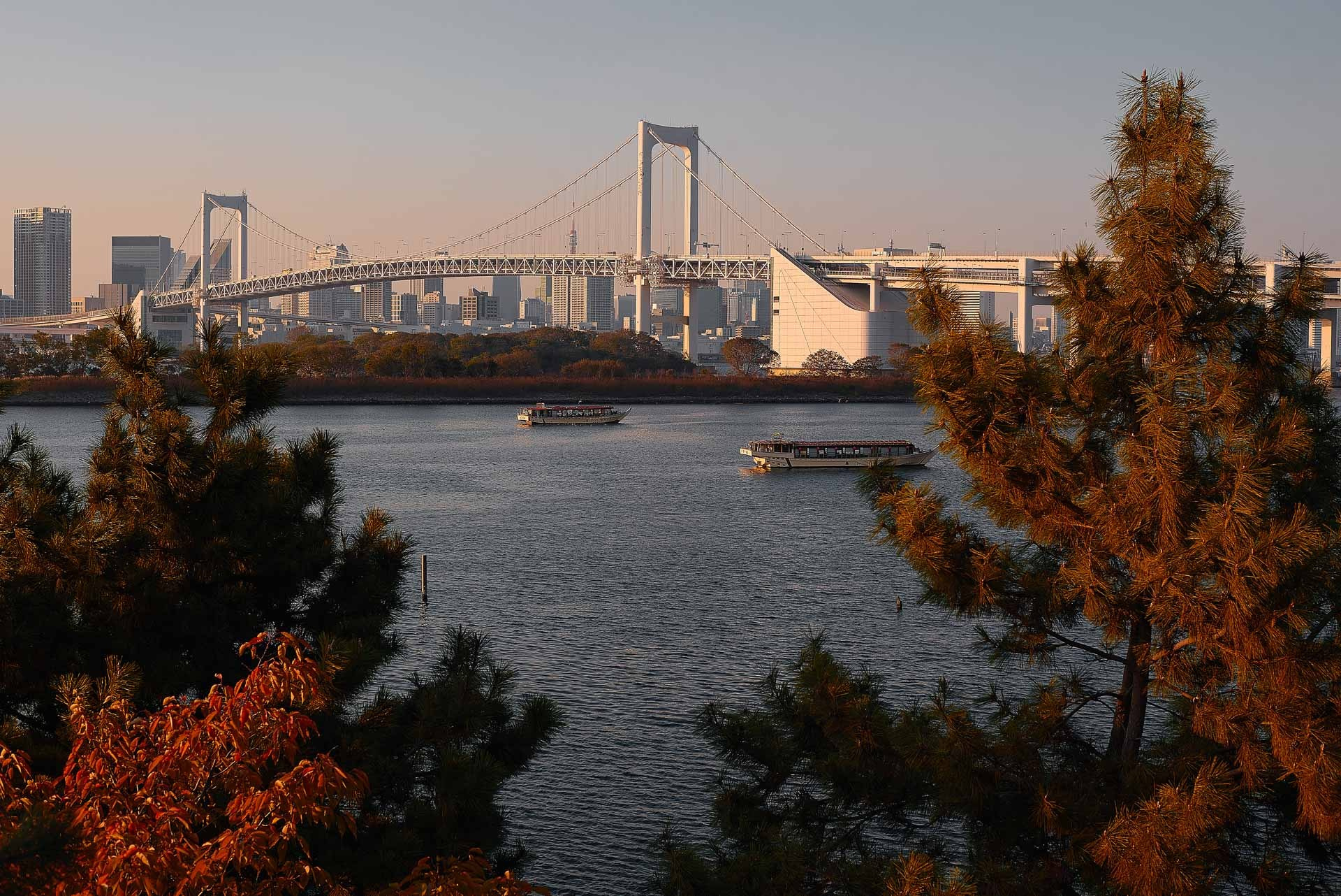 Tokyo Travel Photography Guide: Best Districts, Attractions & Tips