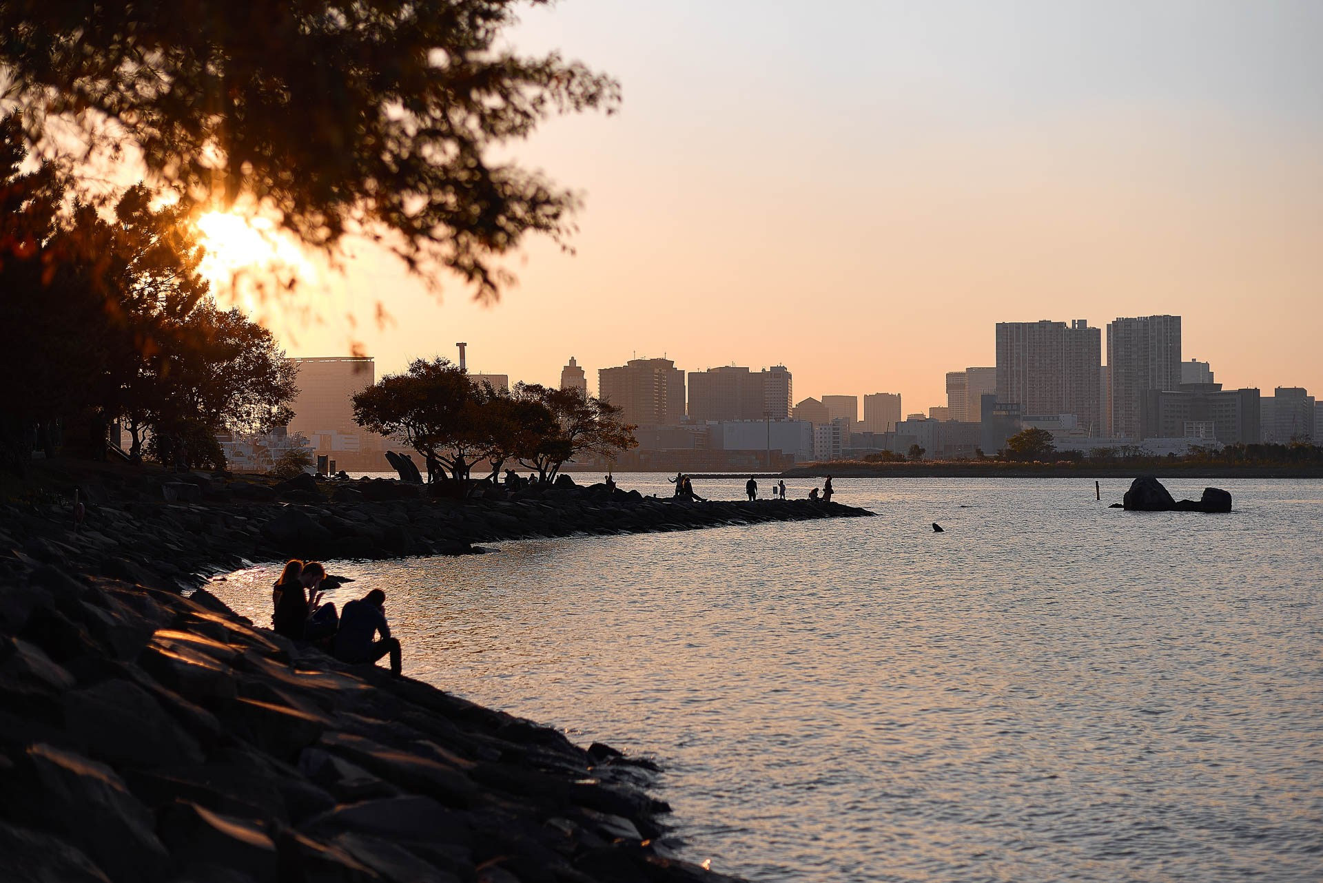 Tokyo Travel Photography Guide: Best Districts, Attractions & Tips