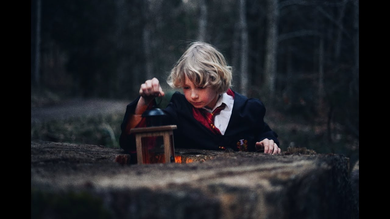 VIDEO “Misterious forest”. Nina Janeckova Photographer and Videographer in Bodensee Ravensburg