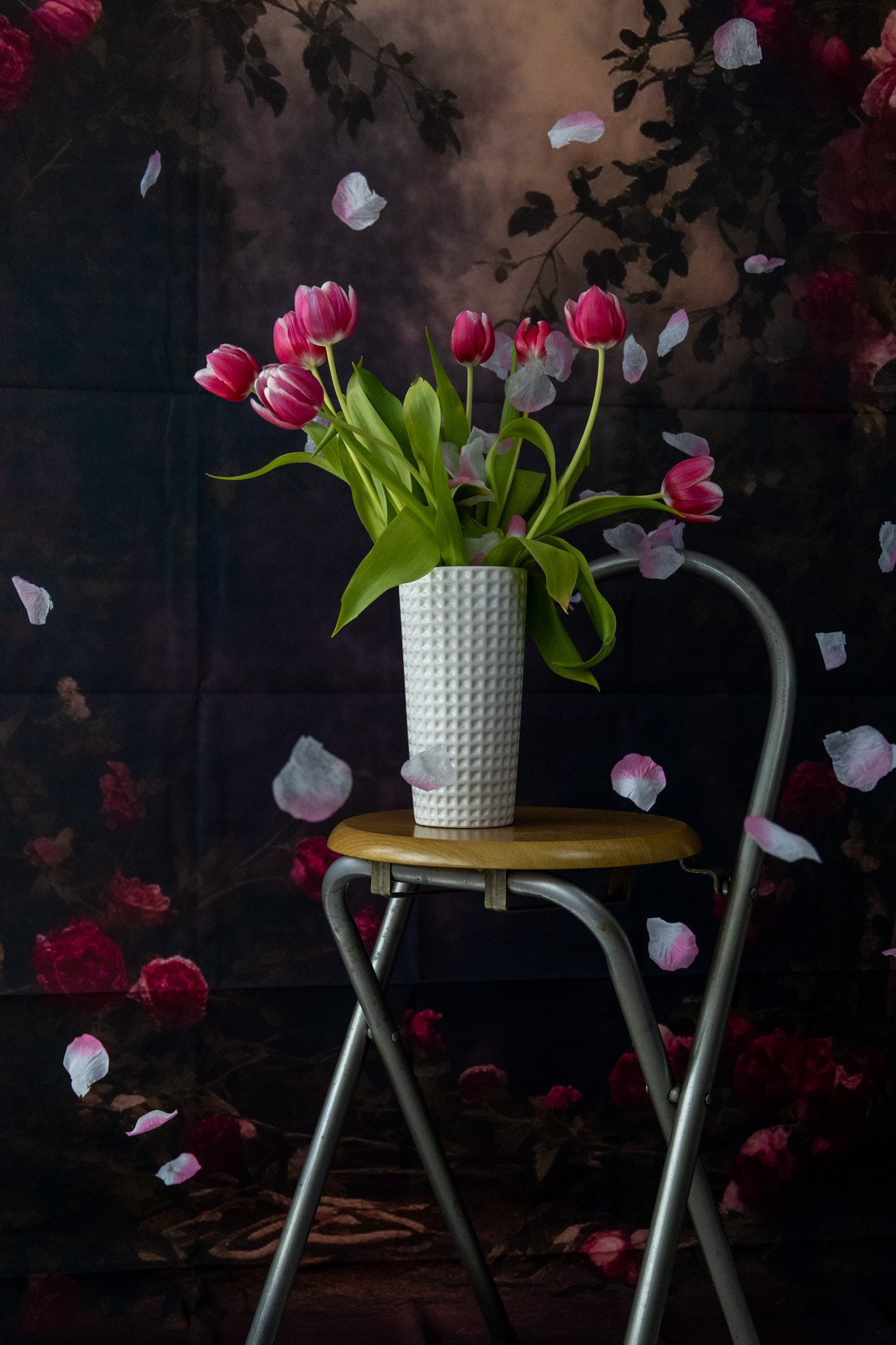 Fotograf familie, mini studio, evenimente, botez, majorat