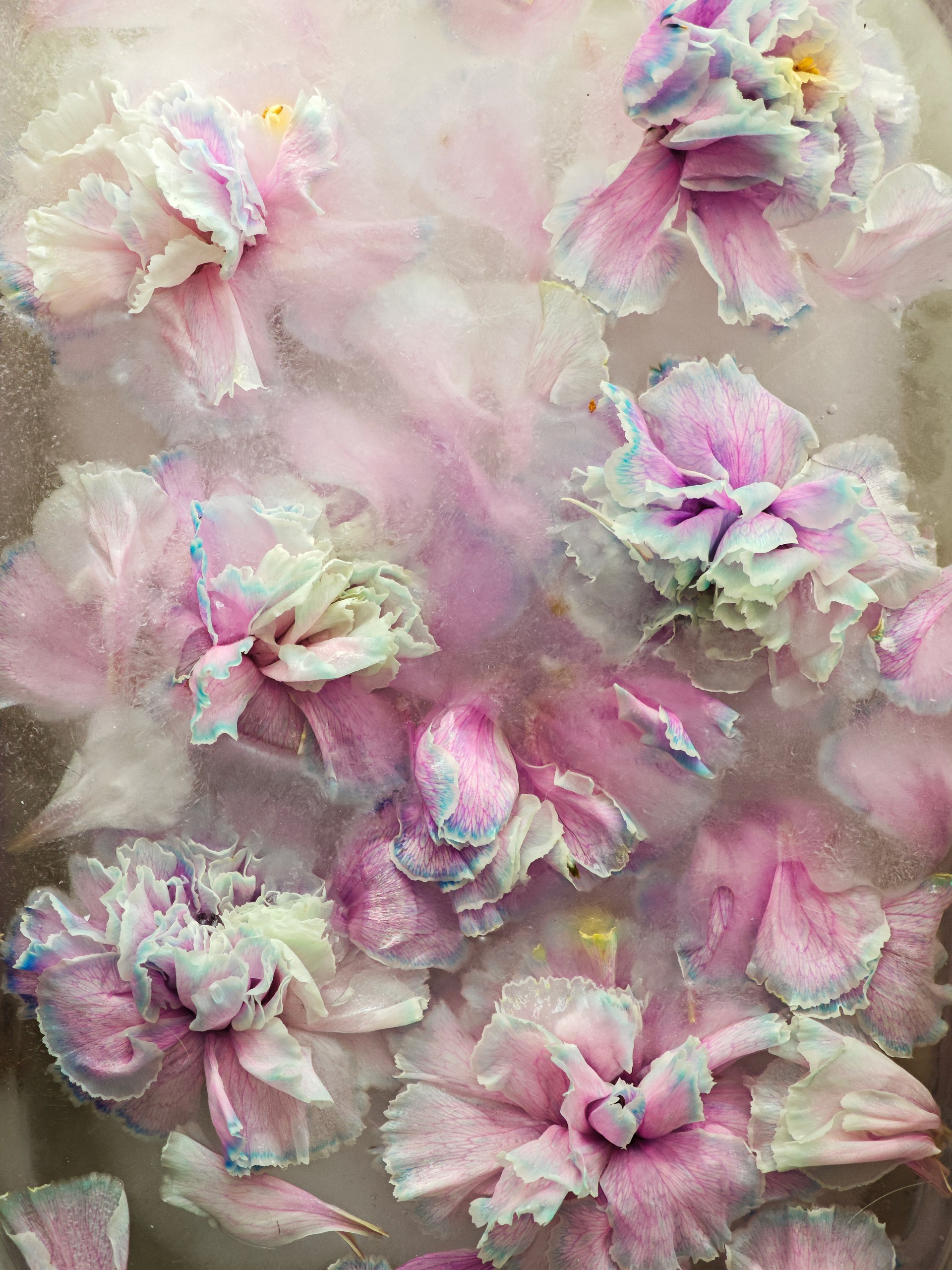 Valeria Mabo — Multidisciplinary artist in Barcelona