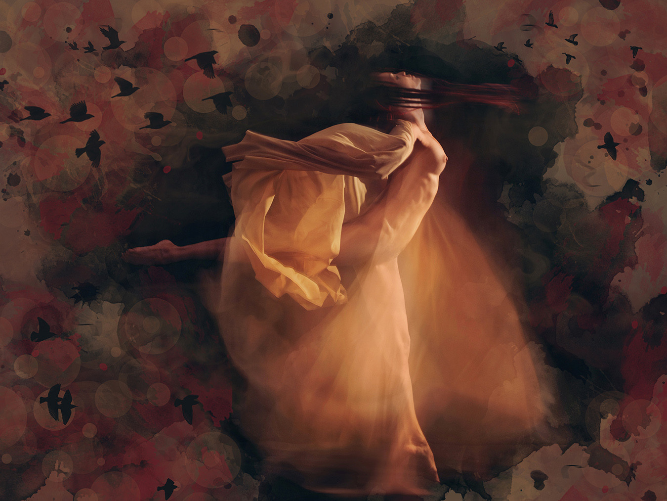 “Freedom”. Birds. Lolly Shine. Contemporary digital artist