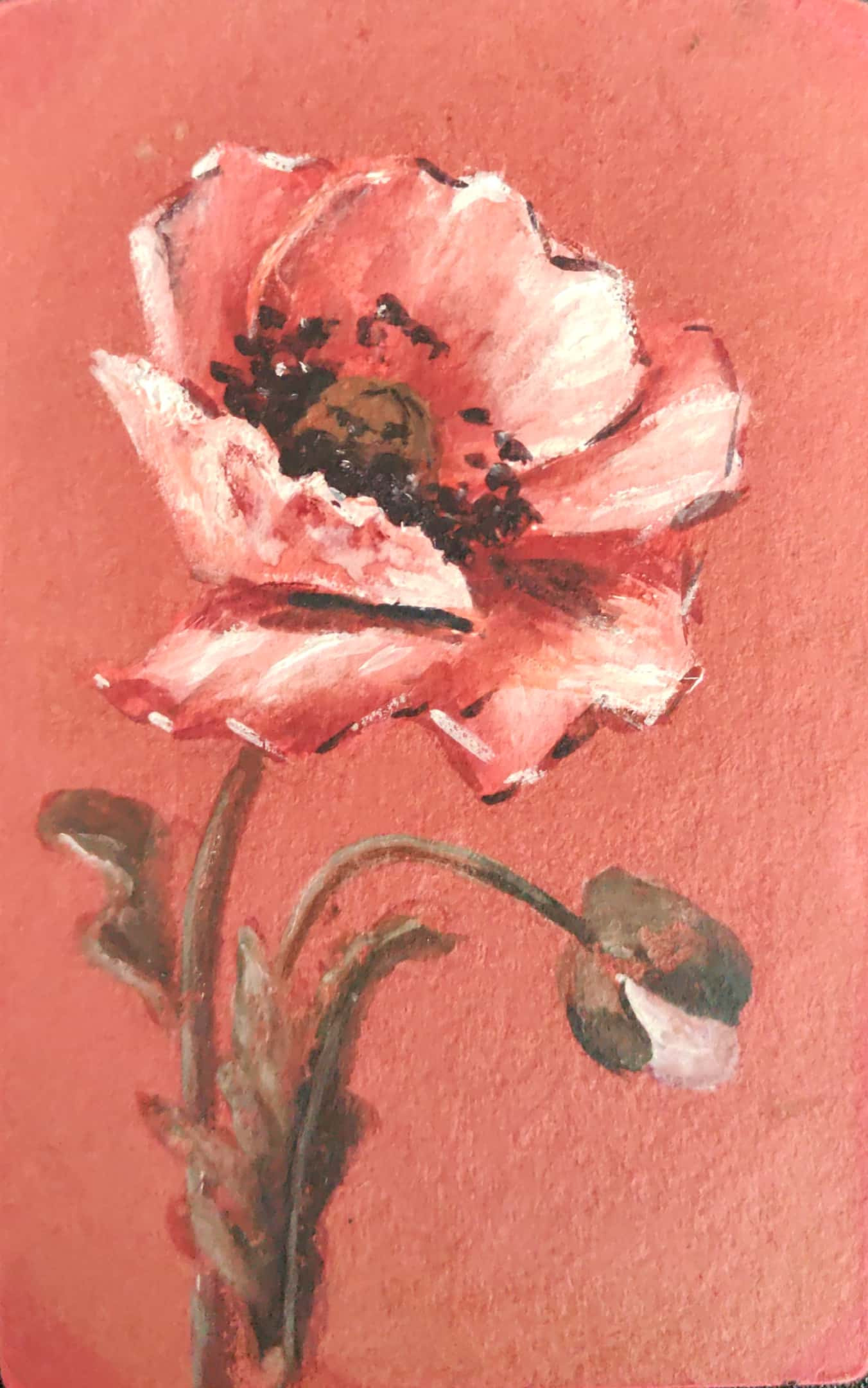 Старинные почтовые открытки и мои истории о них. Фотограф, коллекционер винтажных открыток и создатель историй на пересечении прошлого и личного. Ирина Дайнакова