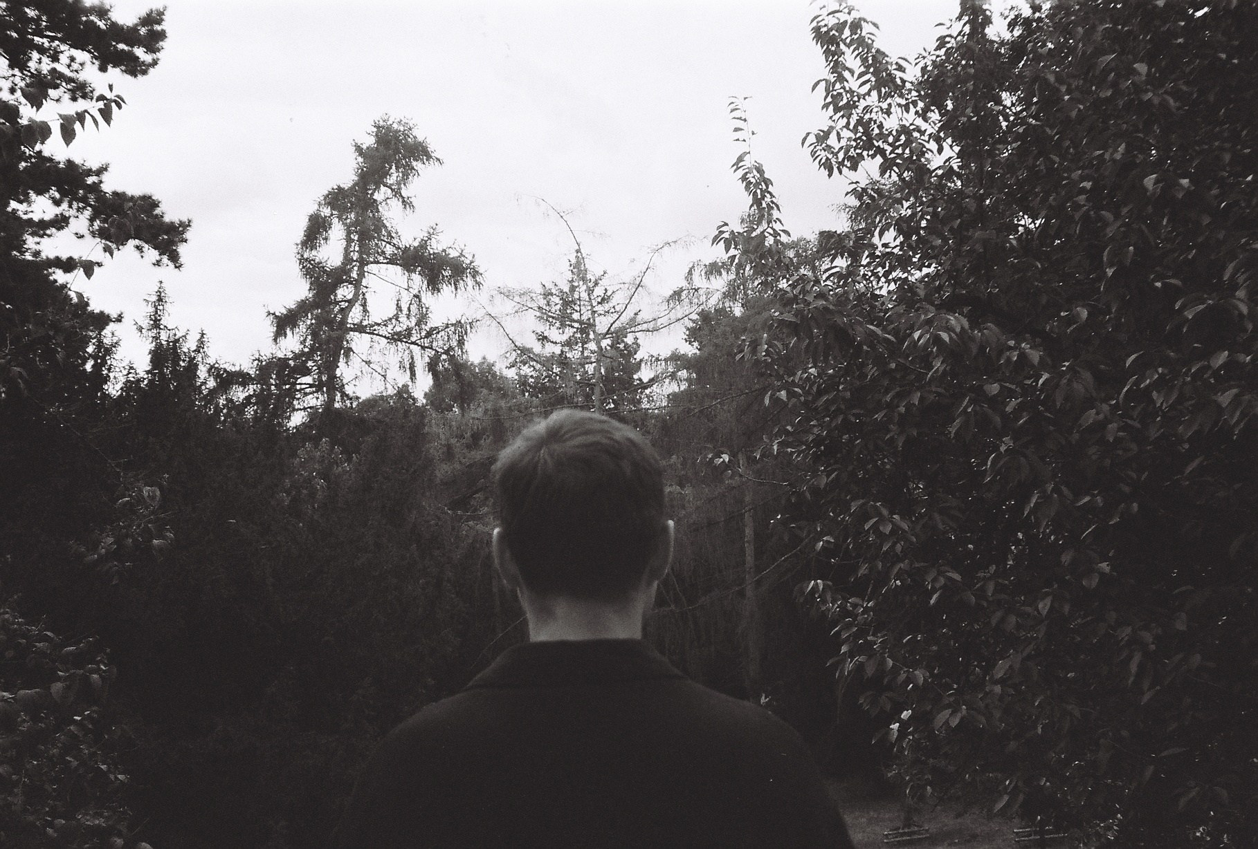 Book Conversations with life