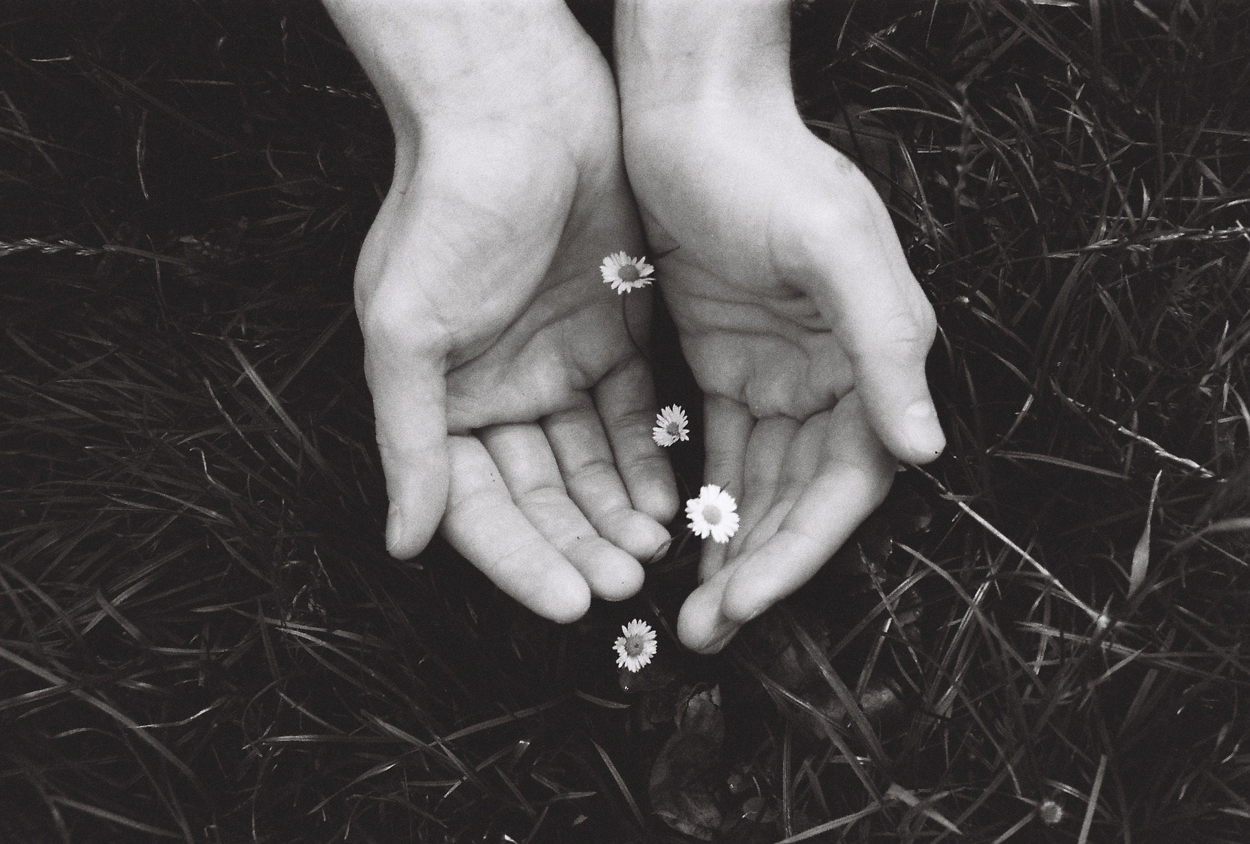 Book Conversations with life