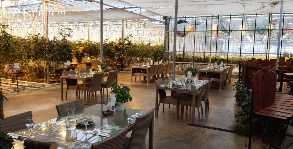 Top 10 best wedding venues in Iceland. Iceland elopement photographer & videographer